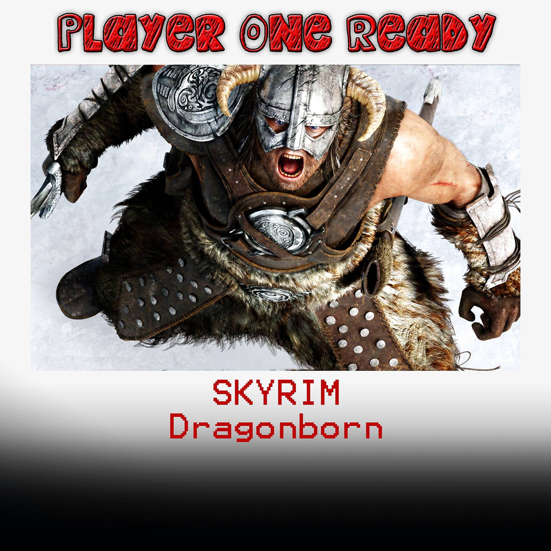 Постер альбома Skyrim