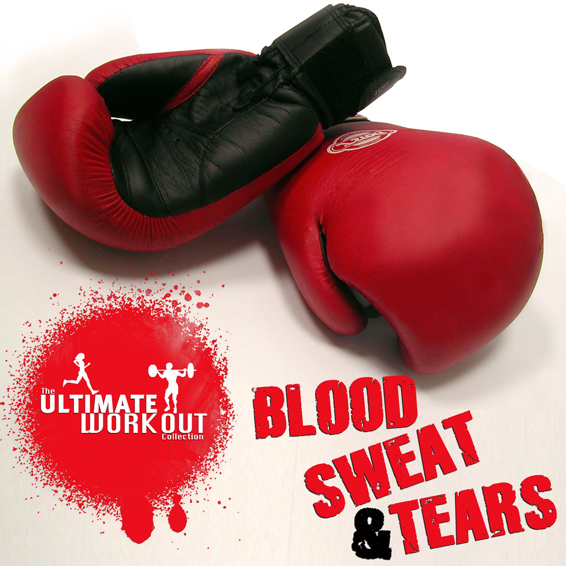 Постер альбома The Ultimate Workout Collection: Blood Sweat And Tears