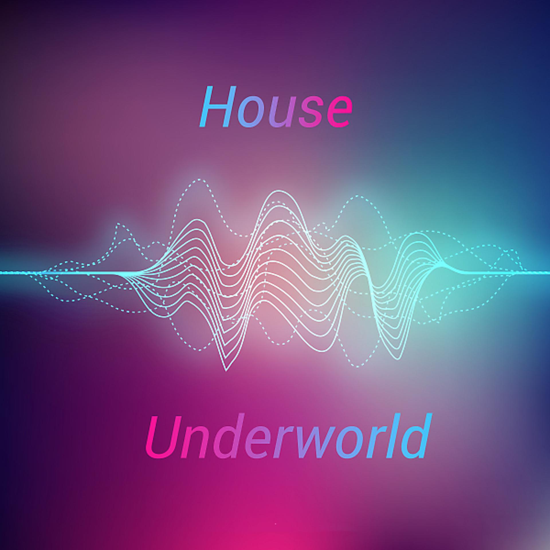 Постер альбома House Underworld