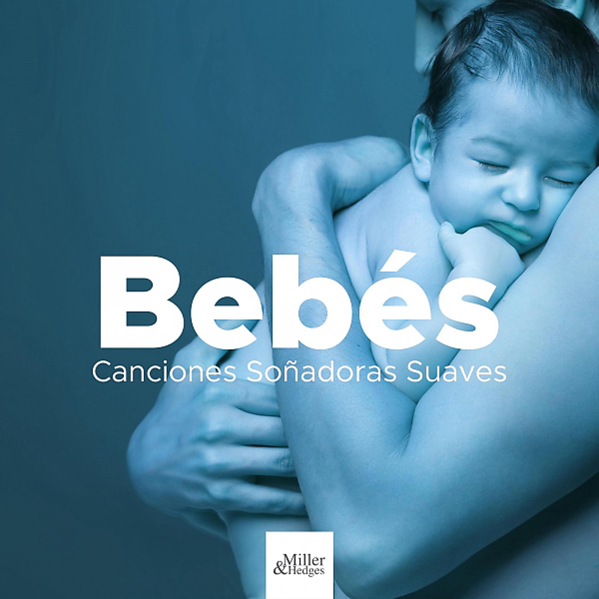 Постер альбома Bebés - Canciones Soñadoras Suaves y Relajantes para Madres Embarazadas