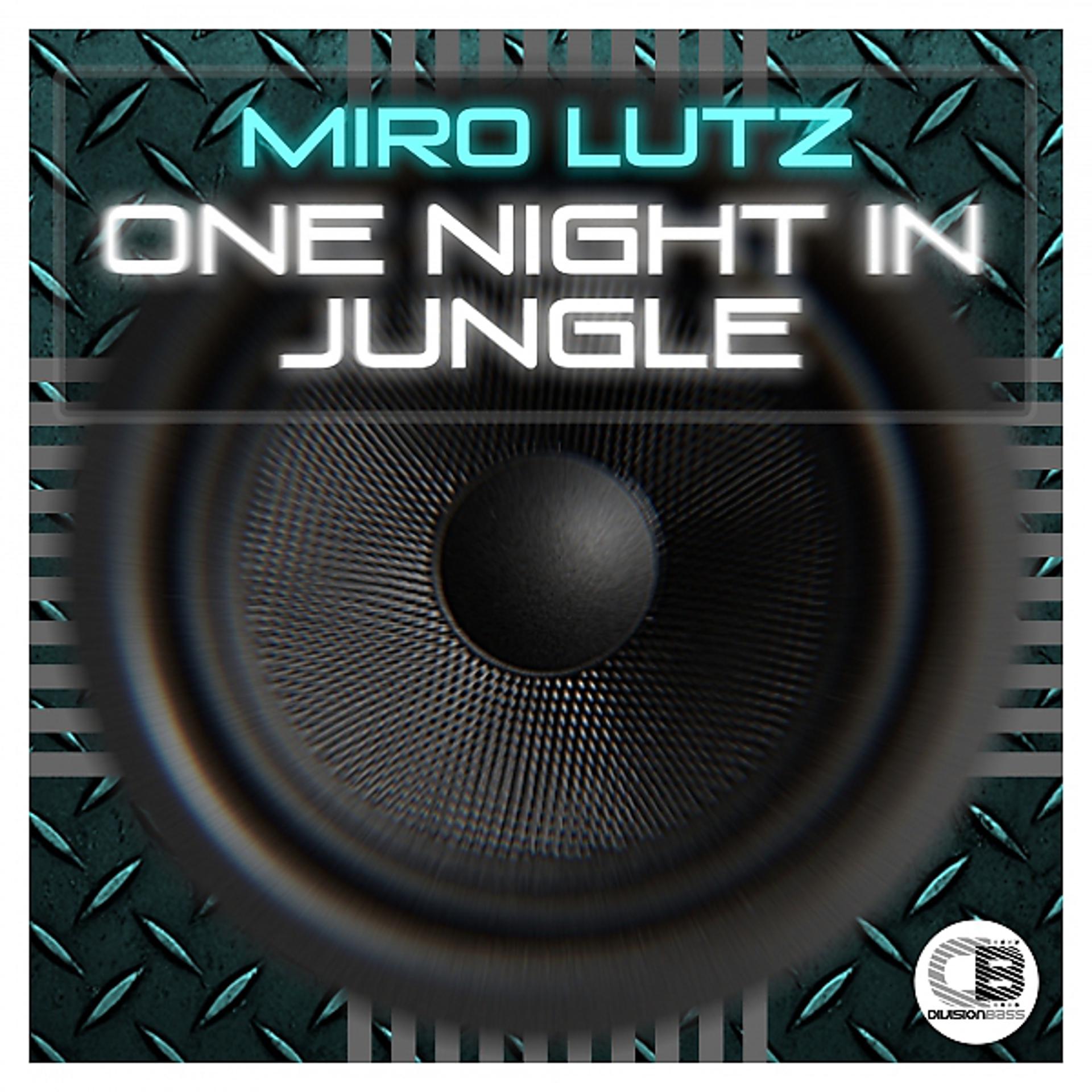Постер альбома One Night In Jungle