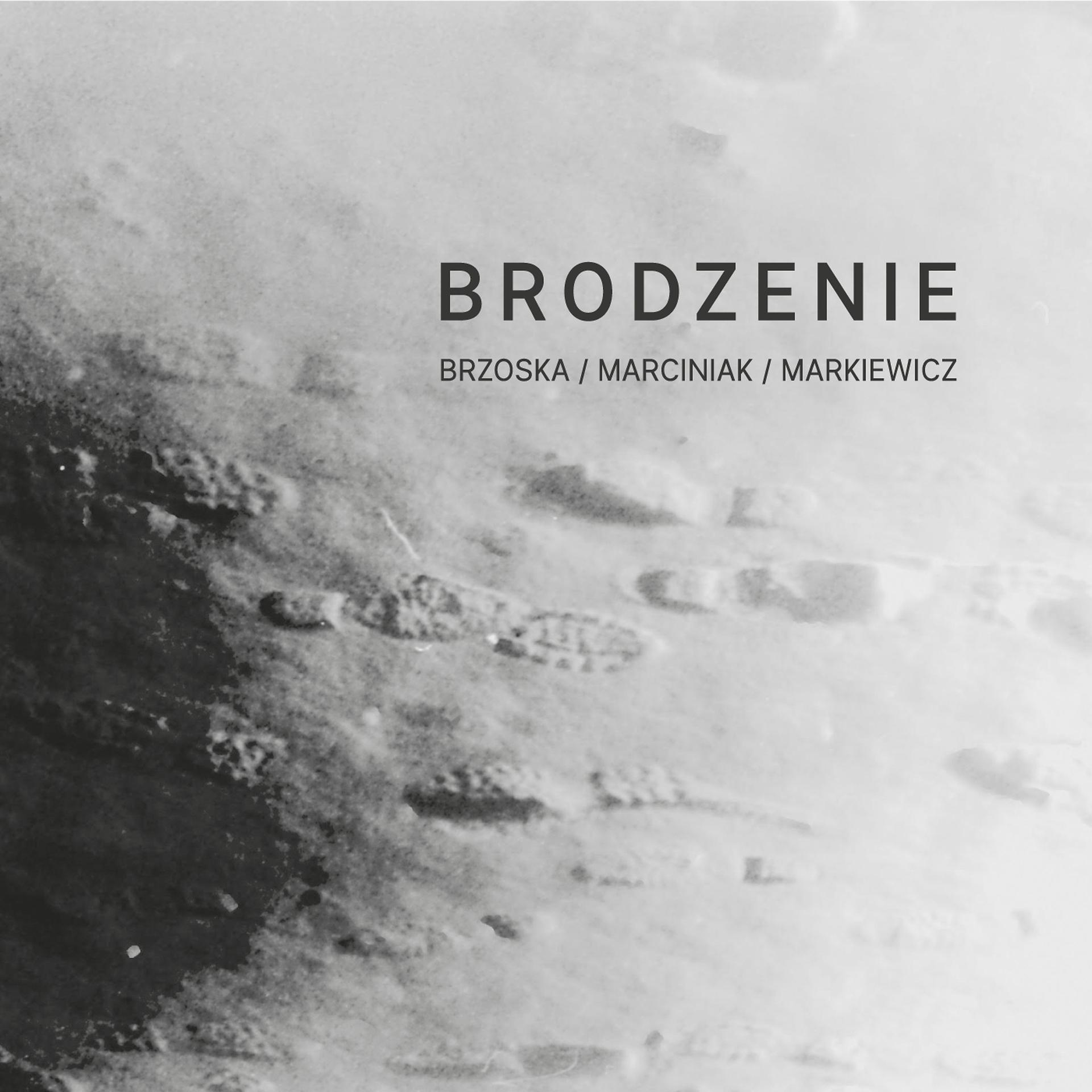 Постер альбома Brodzenie
