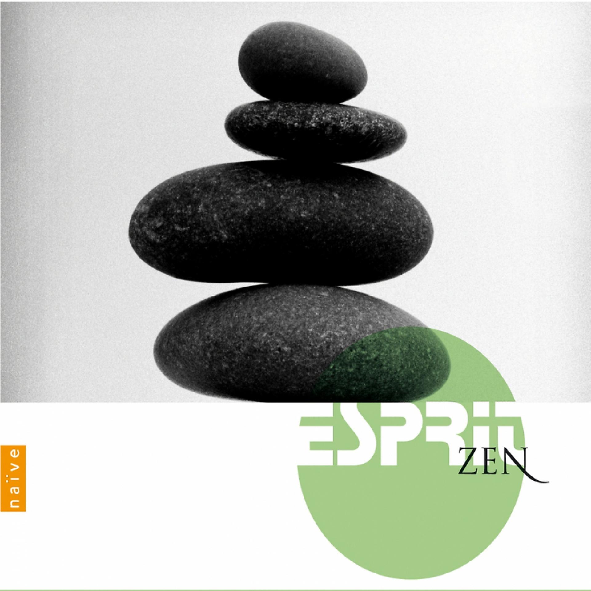 Постер альбома Esprit Zen