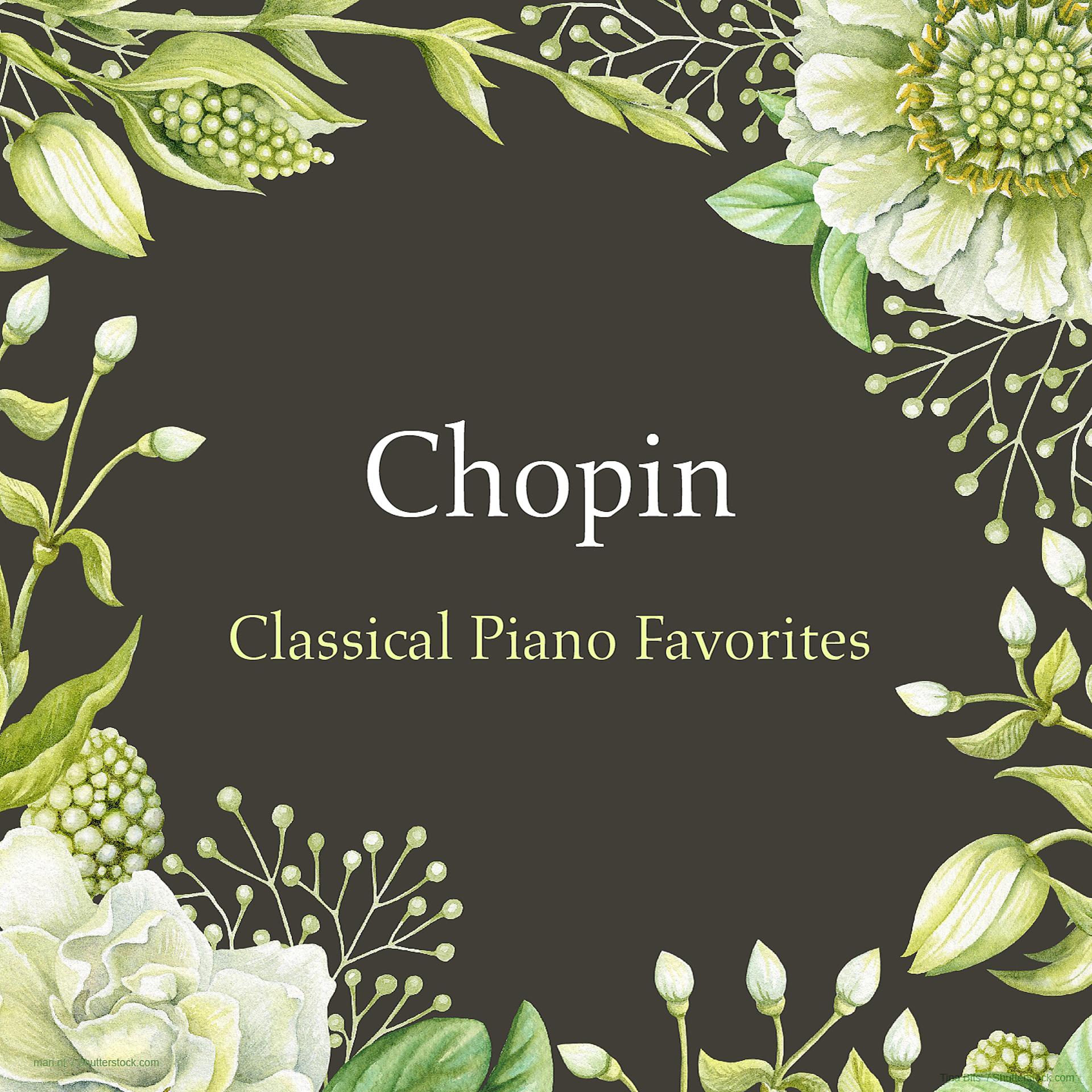 Постер альбома Classical Piano Favorites: Chopin