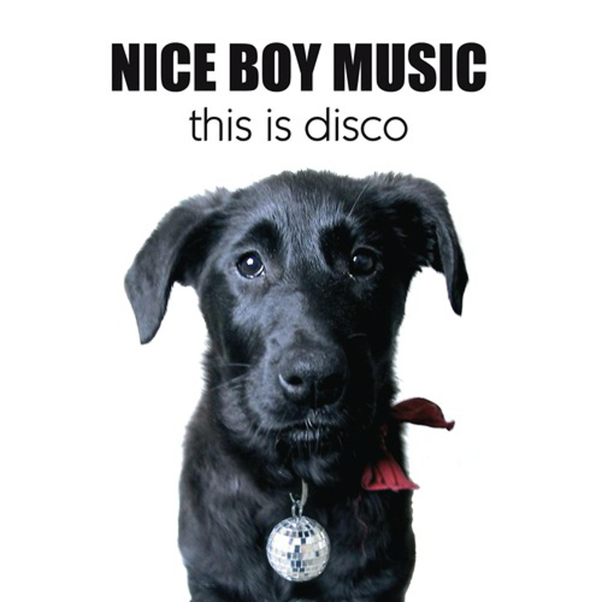 Постер альбома This Is Disco