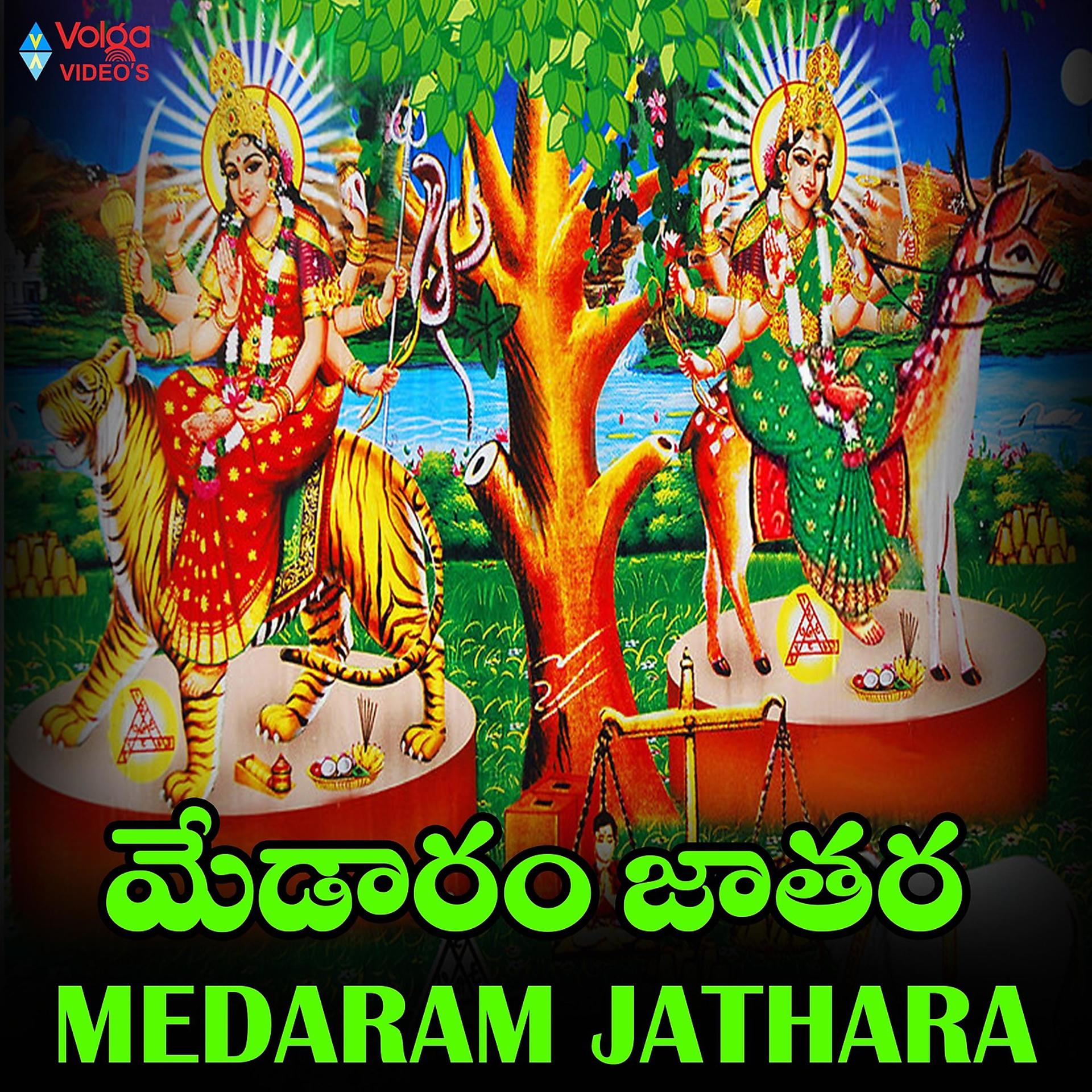 Постер альбома Medaram Jathara