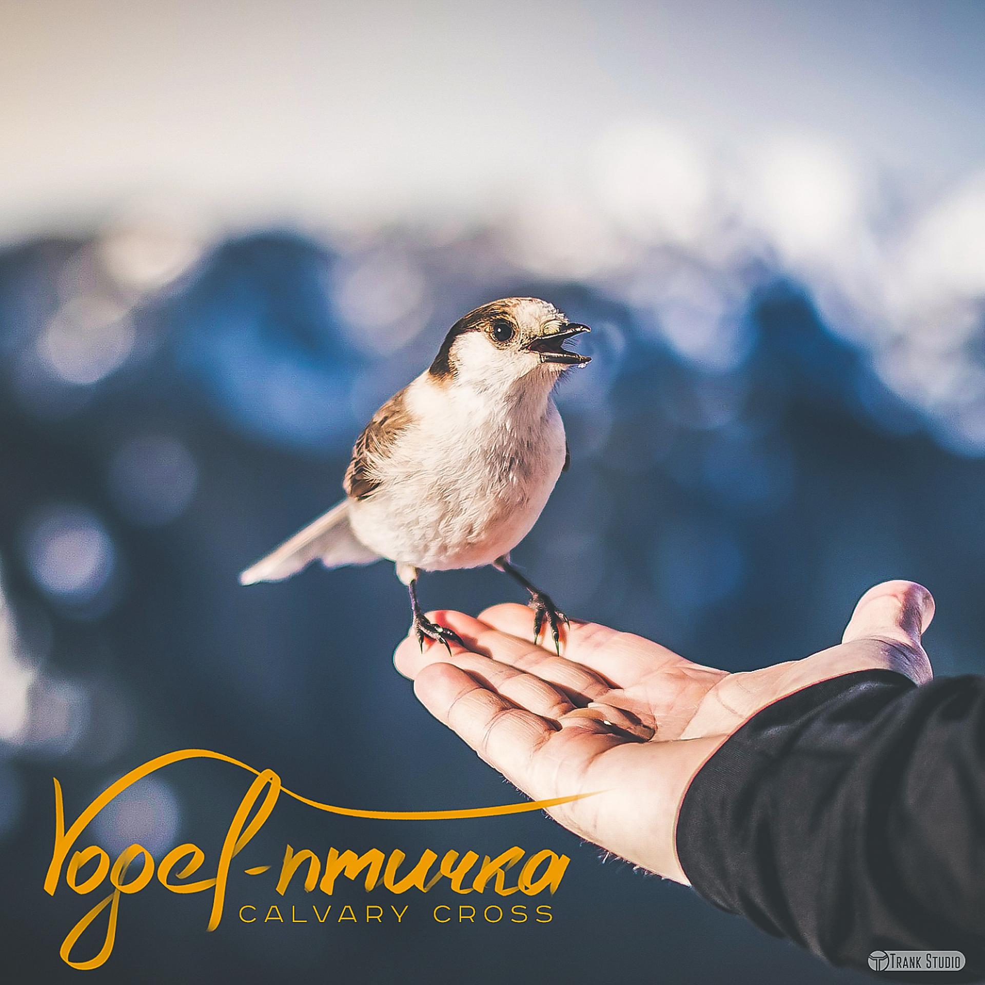 Постер альбома Vogel - птичка