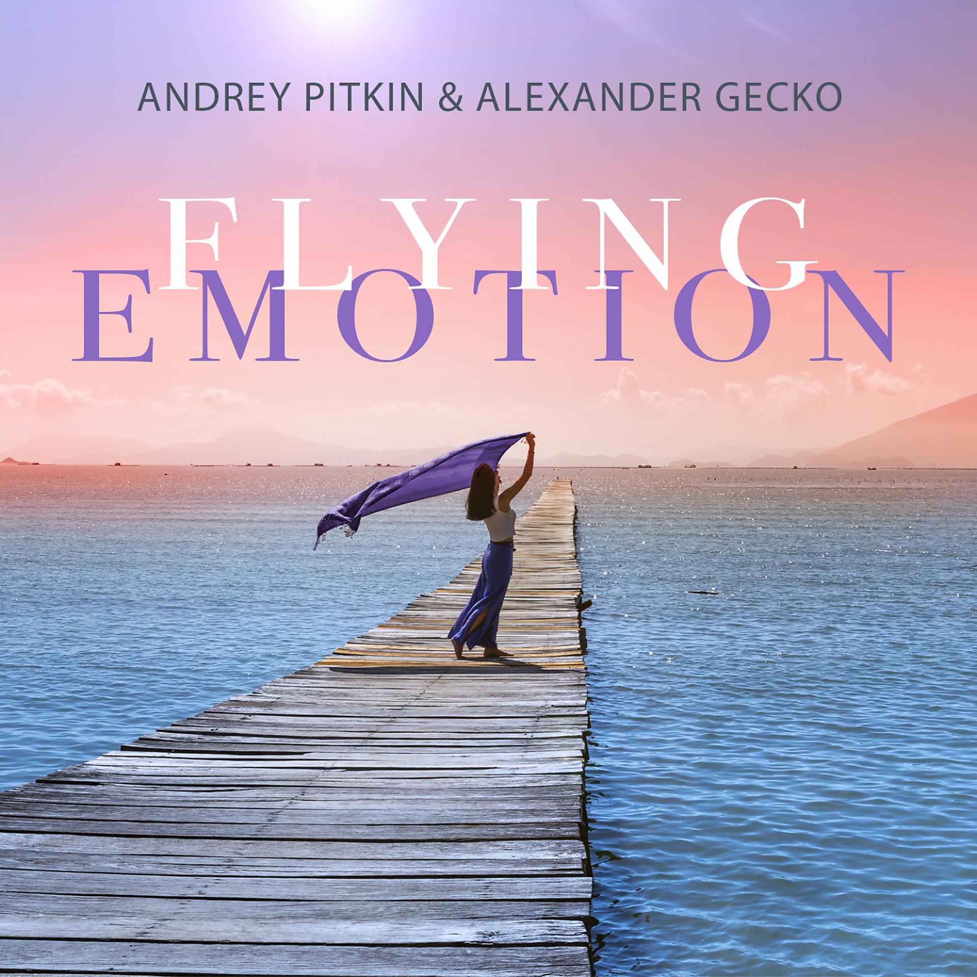 Постер альбома Flying Emotion