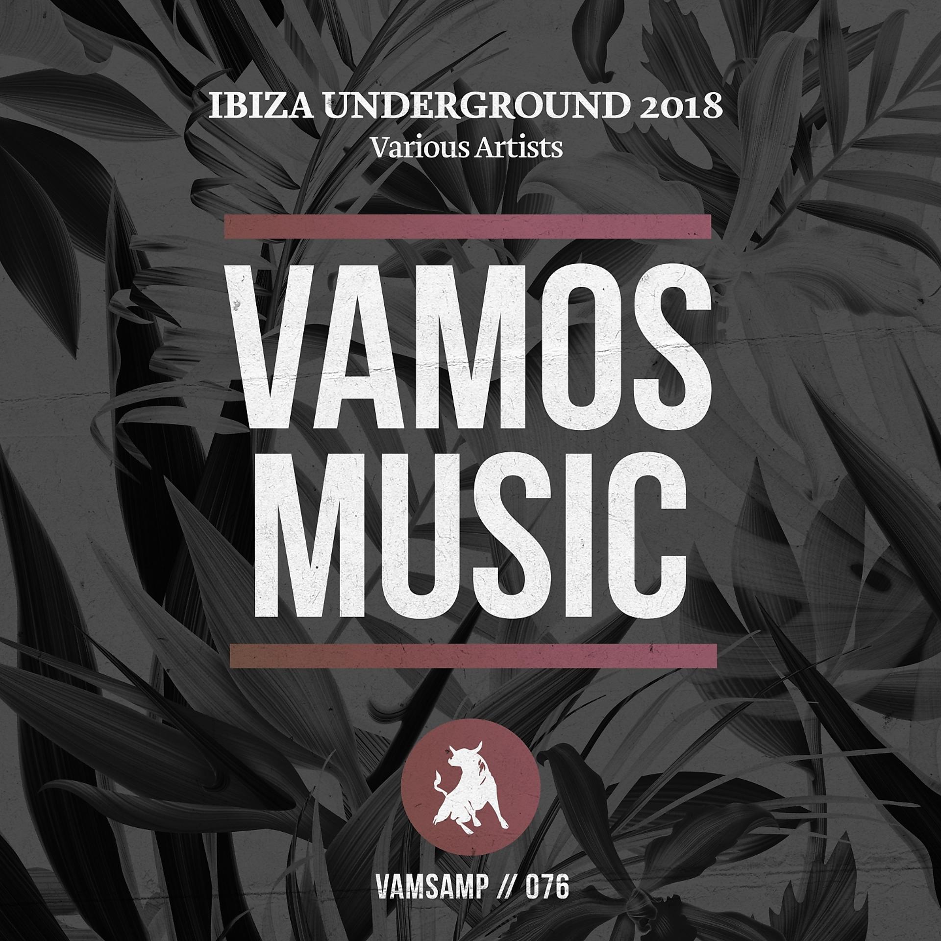 Постер альбома Ibiza Underground 2018