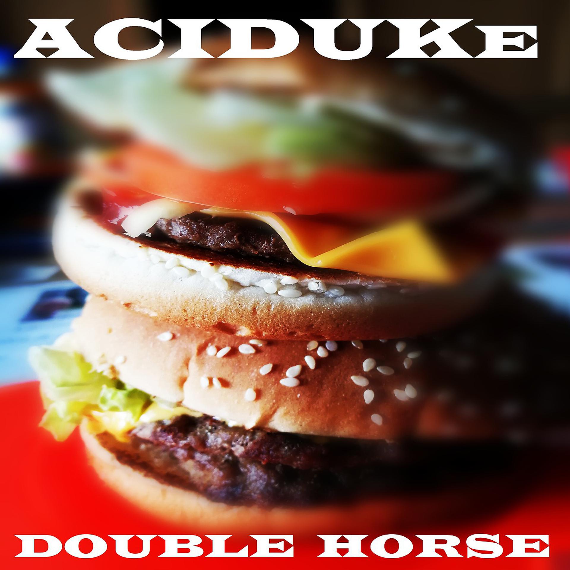 Постер альбома Double Horse