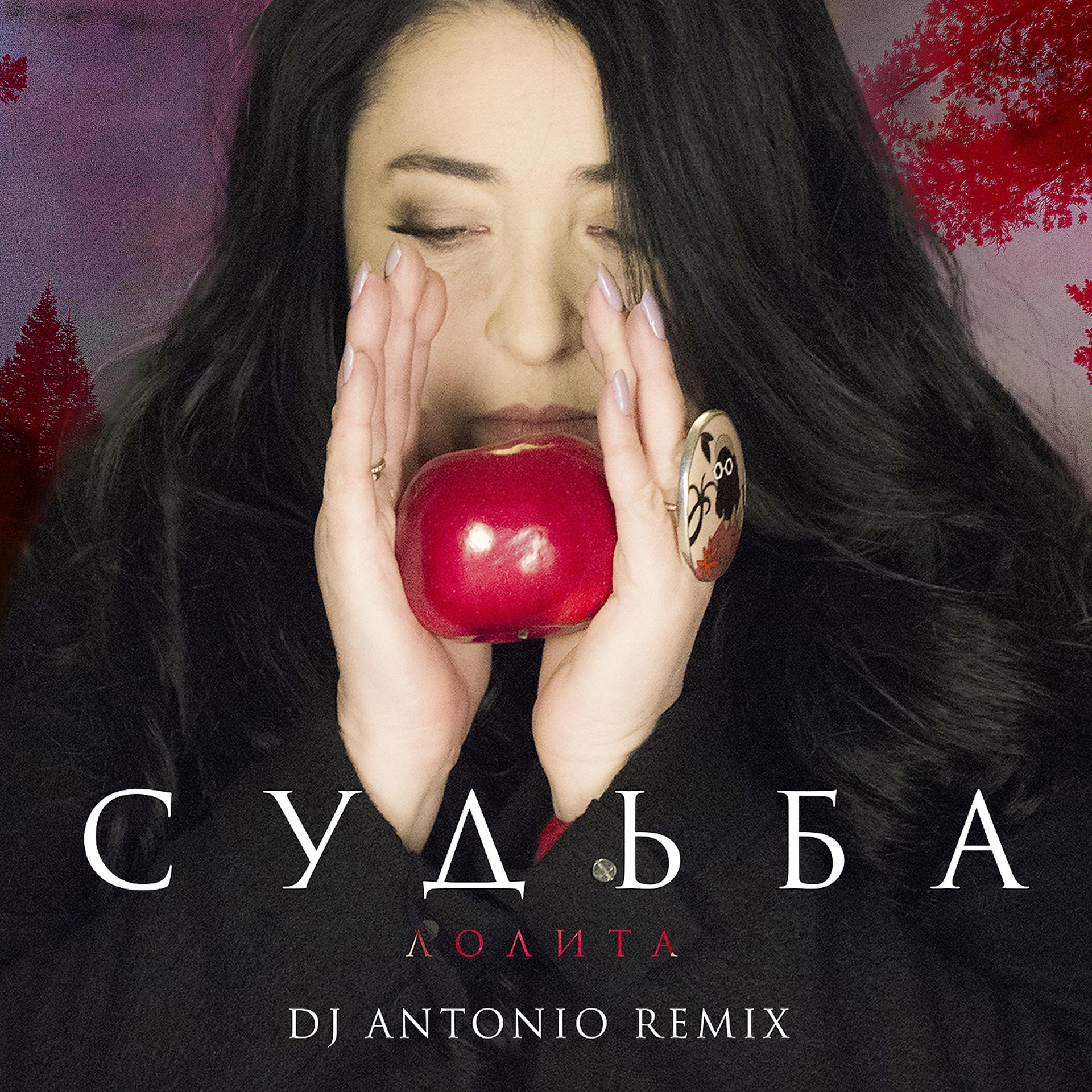 Постер альбома Судьба (DJ Antonio Remix)