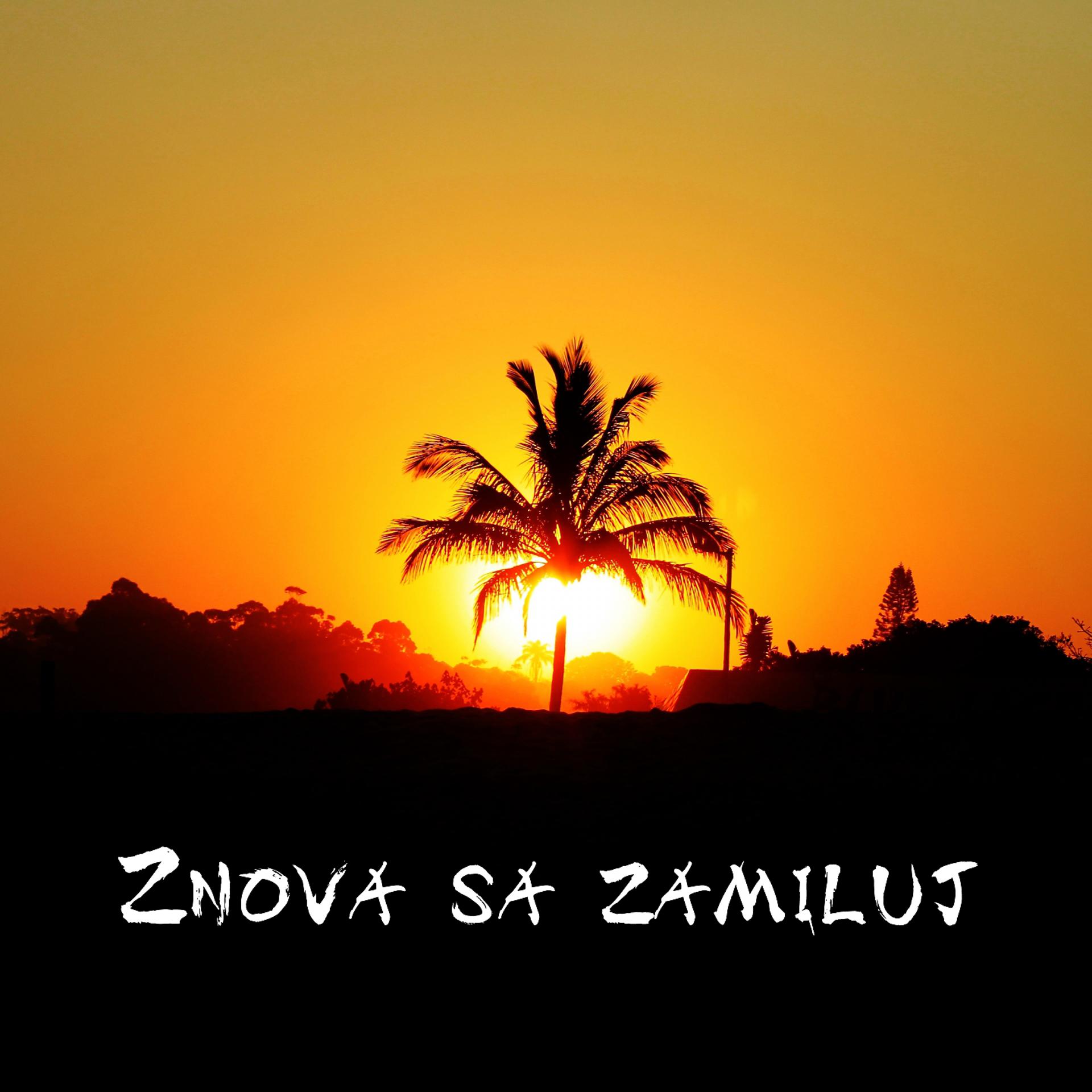 Постер альбома Znova Sa Zamiluj