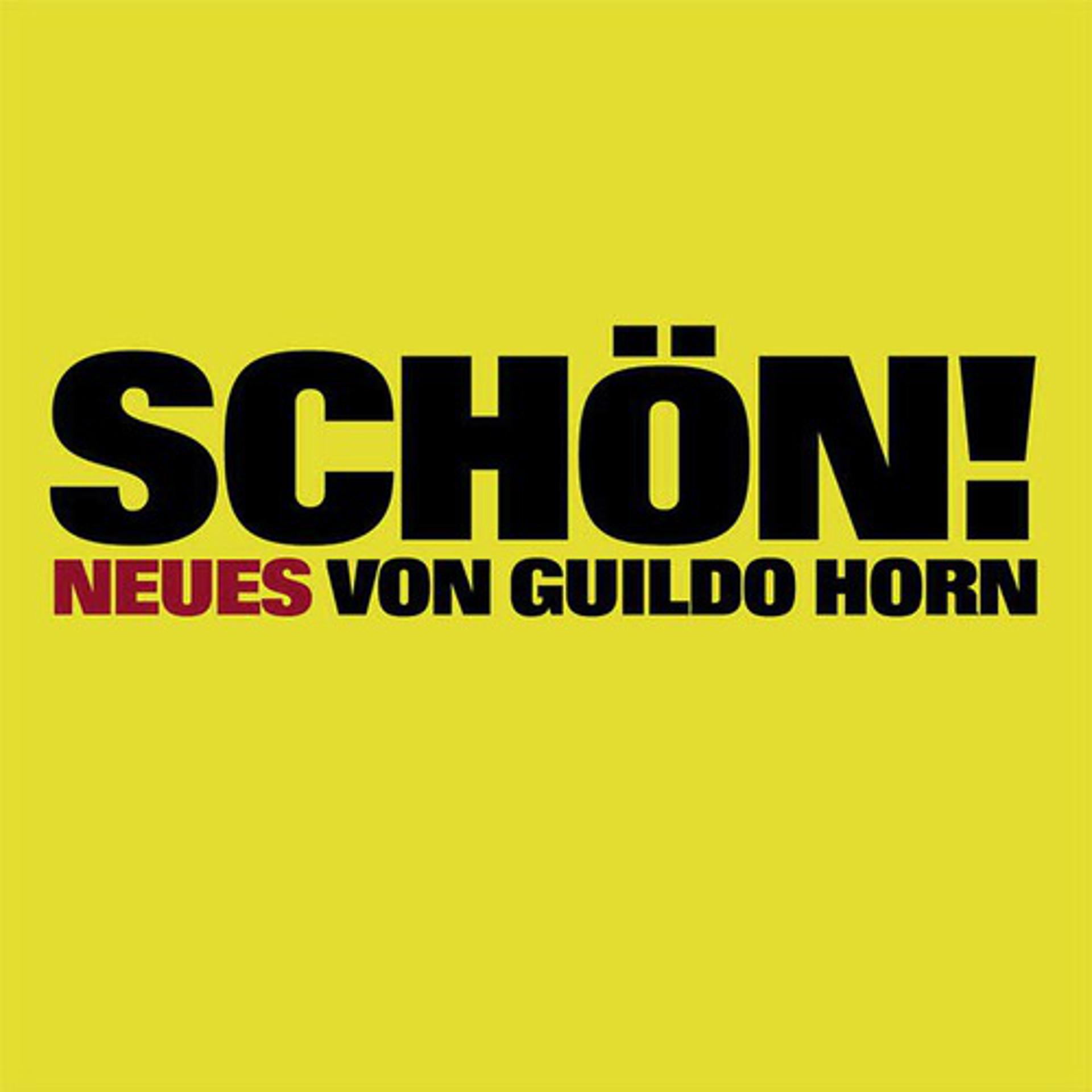 Постер альбома Schön