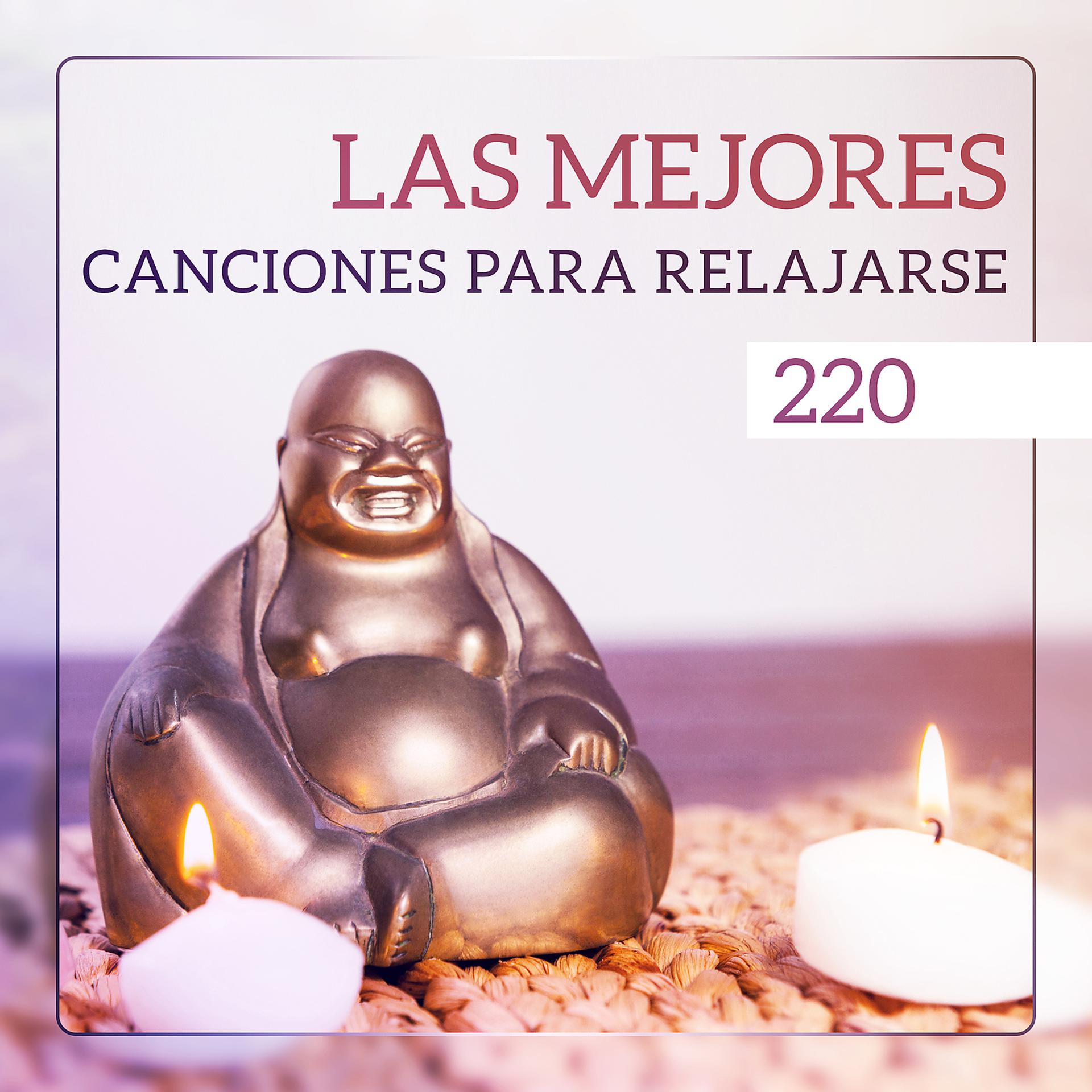 Постер альбома 220 Las Mejores Canciones para Relajarse – Meditacion de Buda, Apertura de Chakra, Yoga Zen, Reiki Curacion