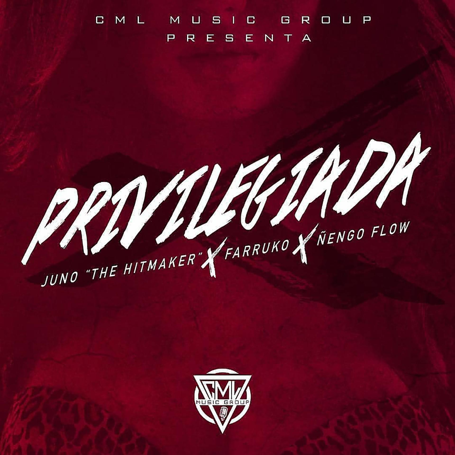 Постер альбома Privilegiada