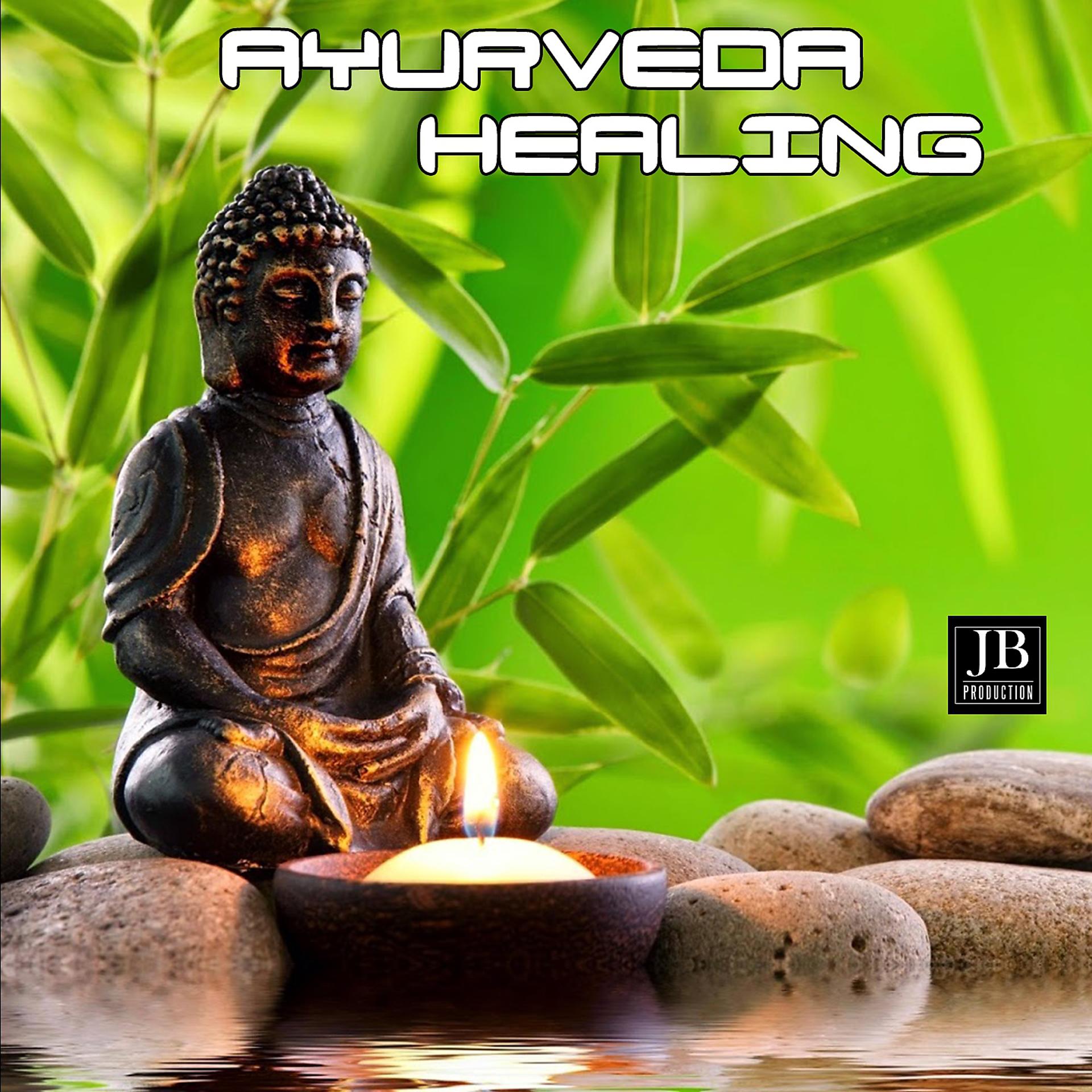 Постер альбома Ayurveda Healing