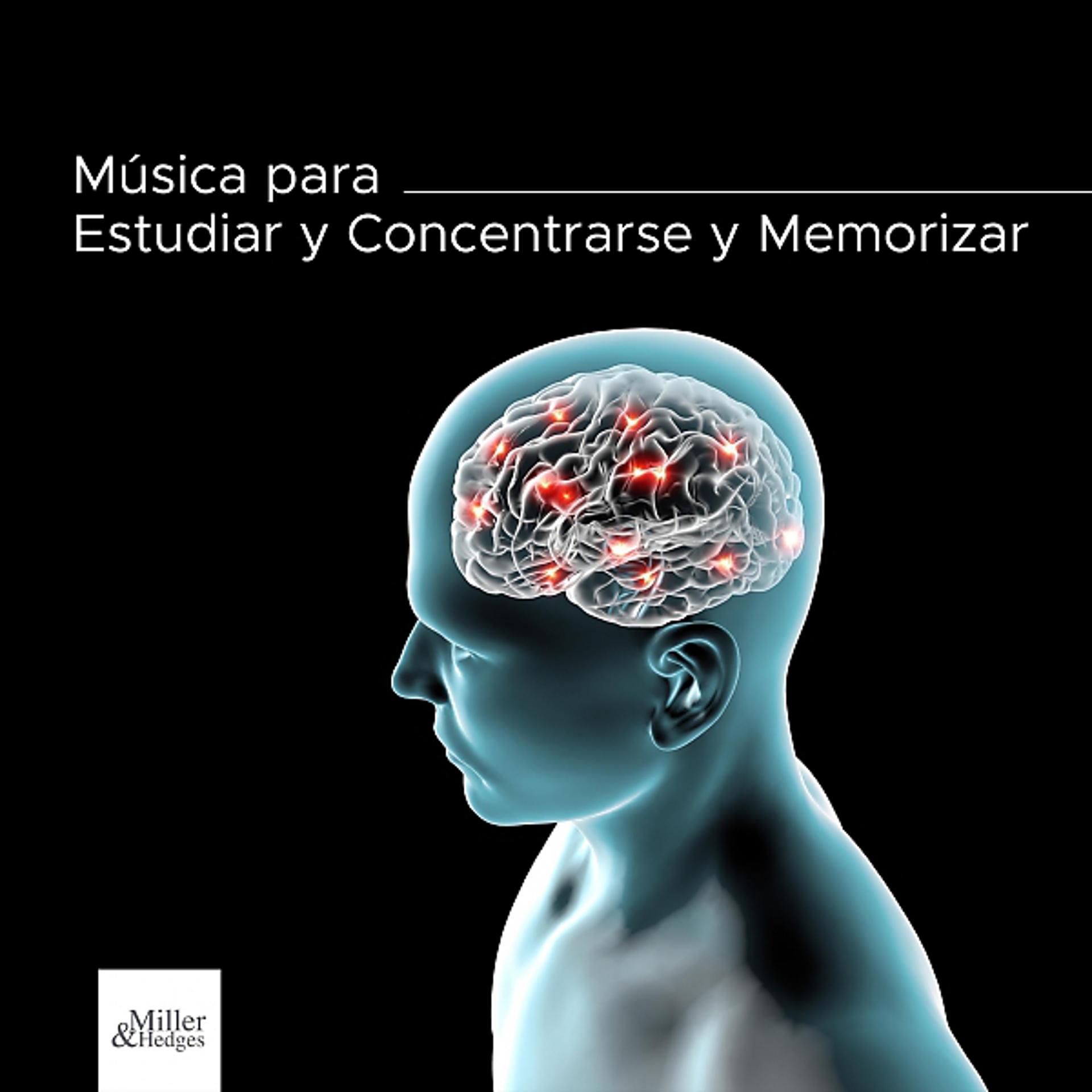 Постер альбома Música para Estudiar y Concentrarse y Memorizar