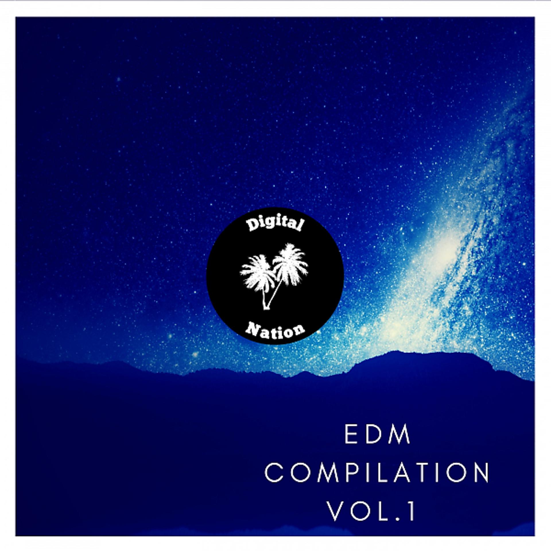 Постер альбома Digital Nation - Edm compilation Vol.1