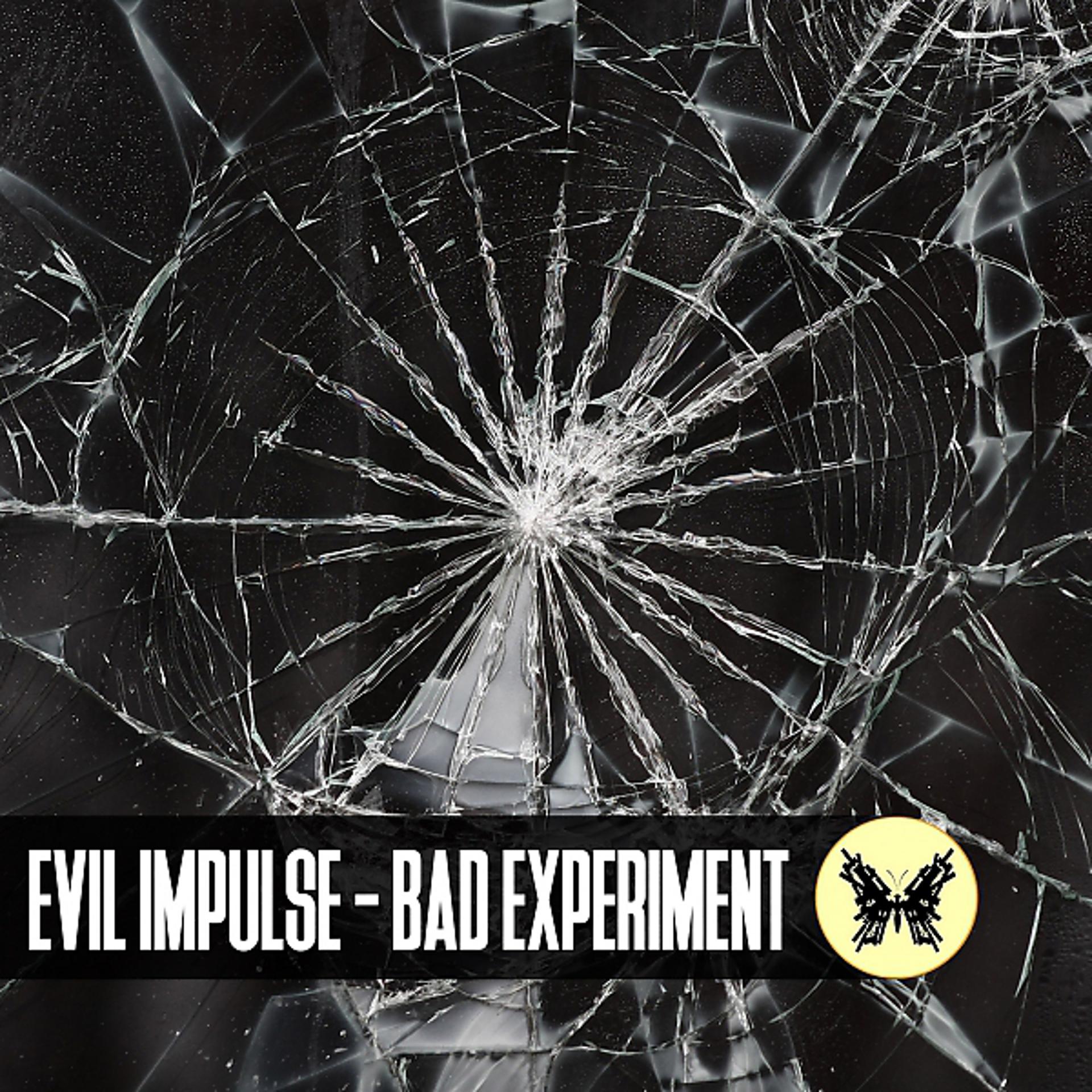 Постер альбома Bad Experiment
