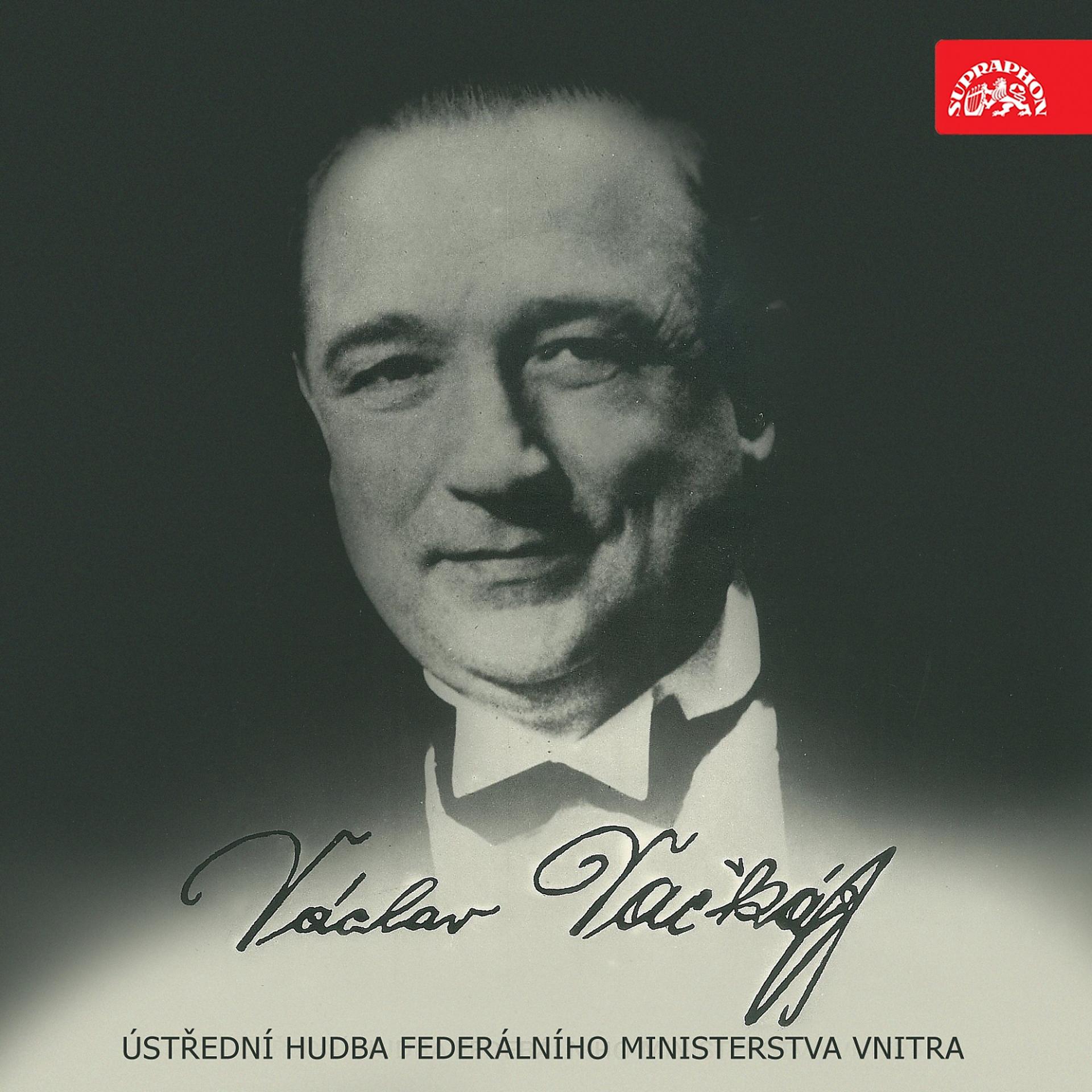 Постер альбома Skladby Václava Vačkáře