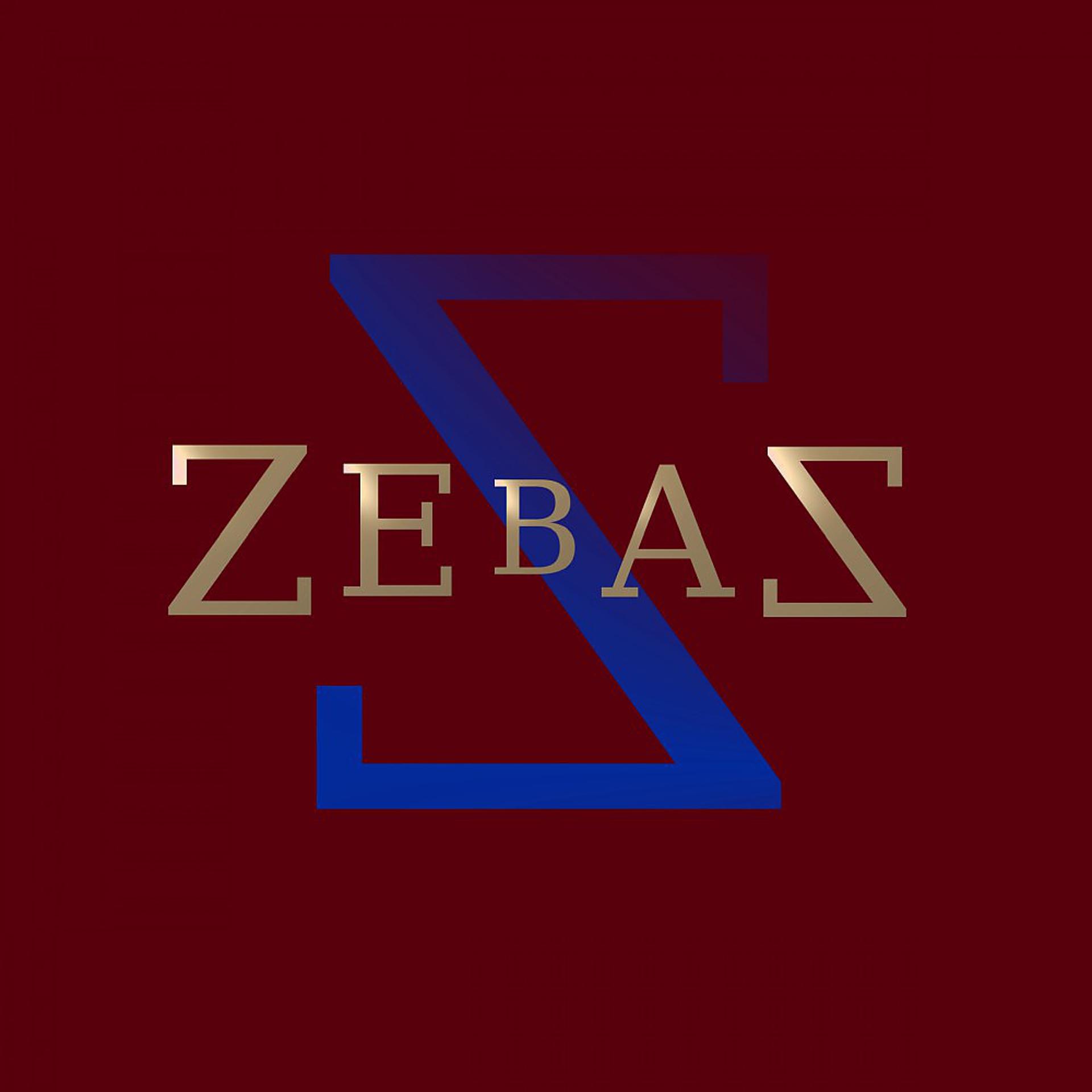 Постер альбома Zebaz 2