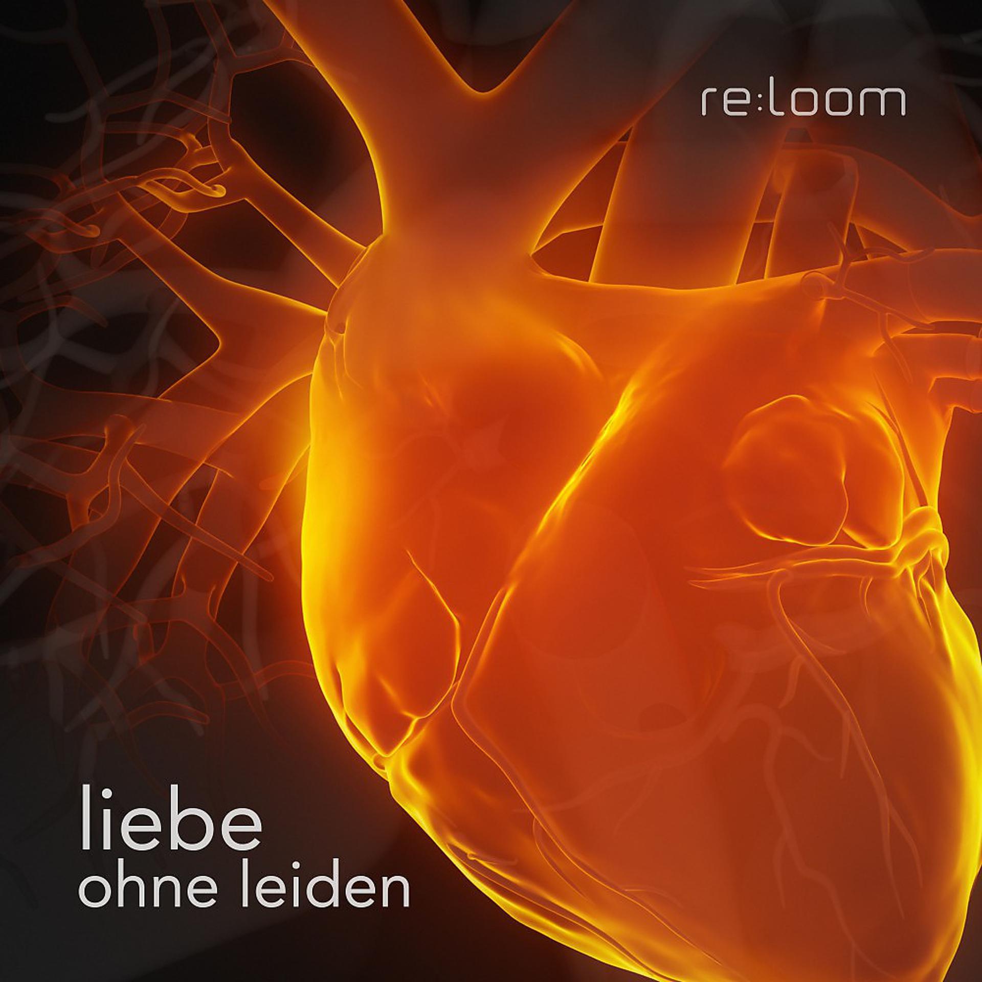 Постер альбома Liebe Ohne Leiden