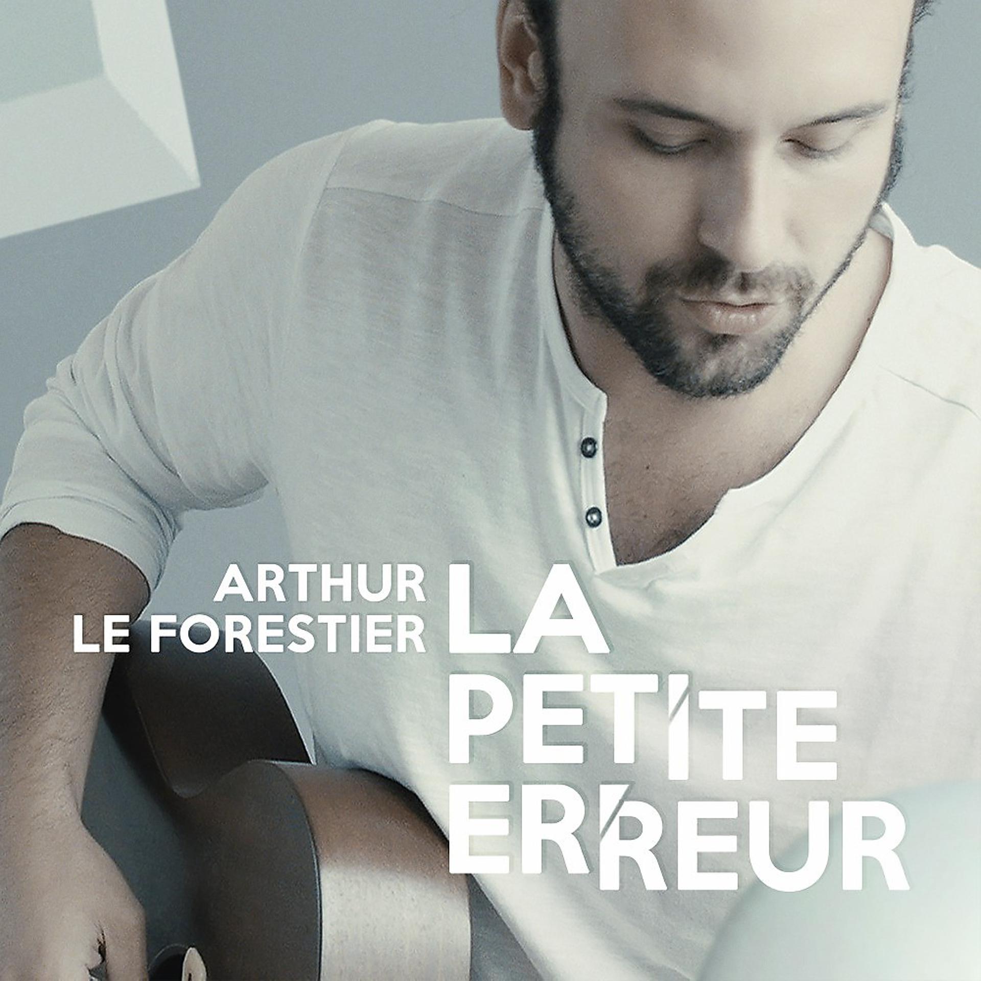 Постер альбома La petite erreur