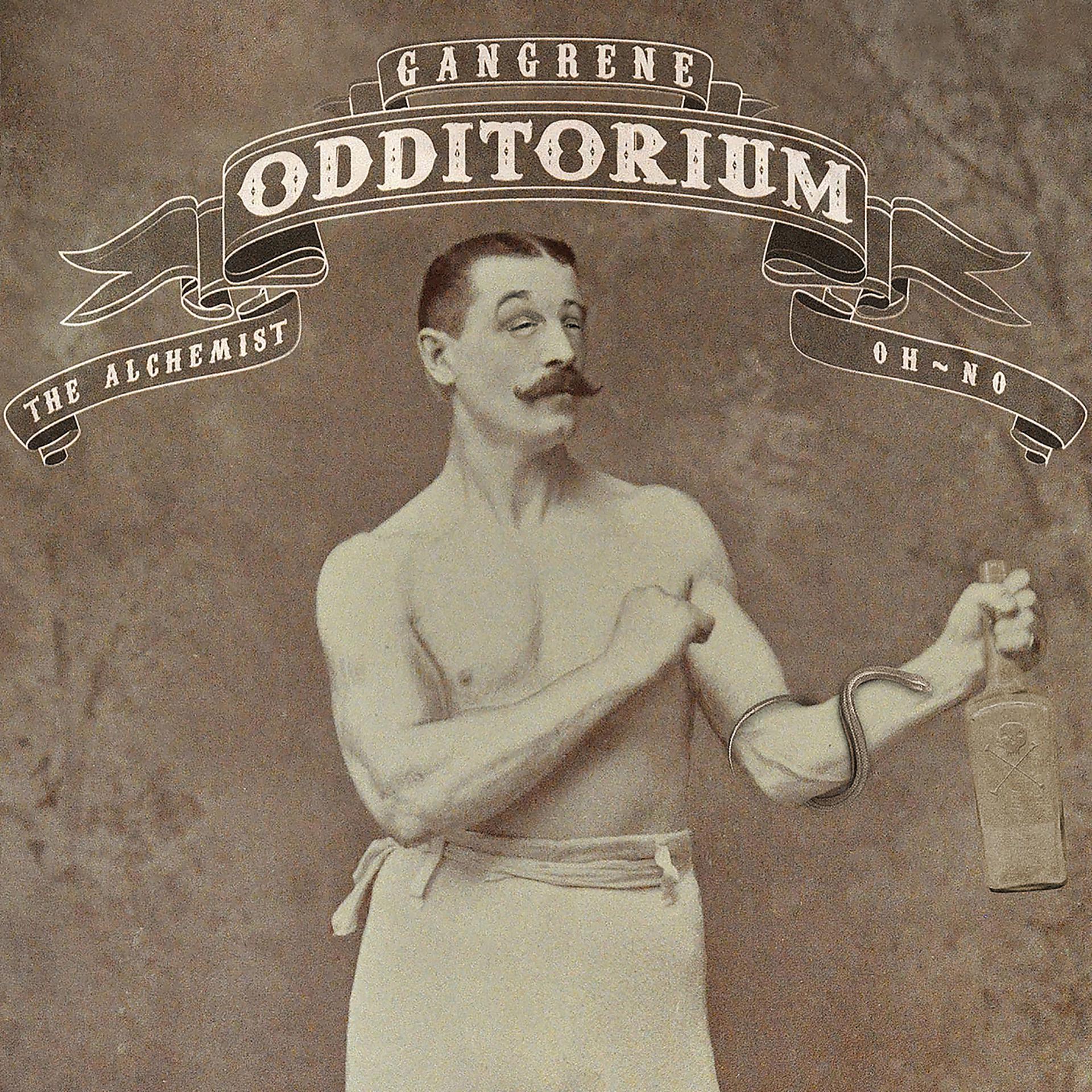 Постер альбома Odditorium