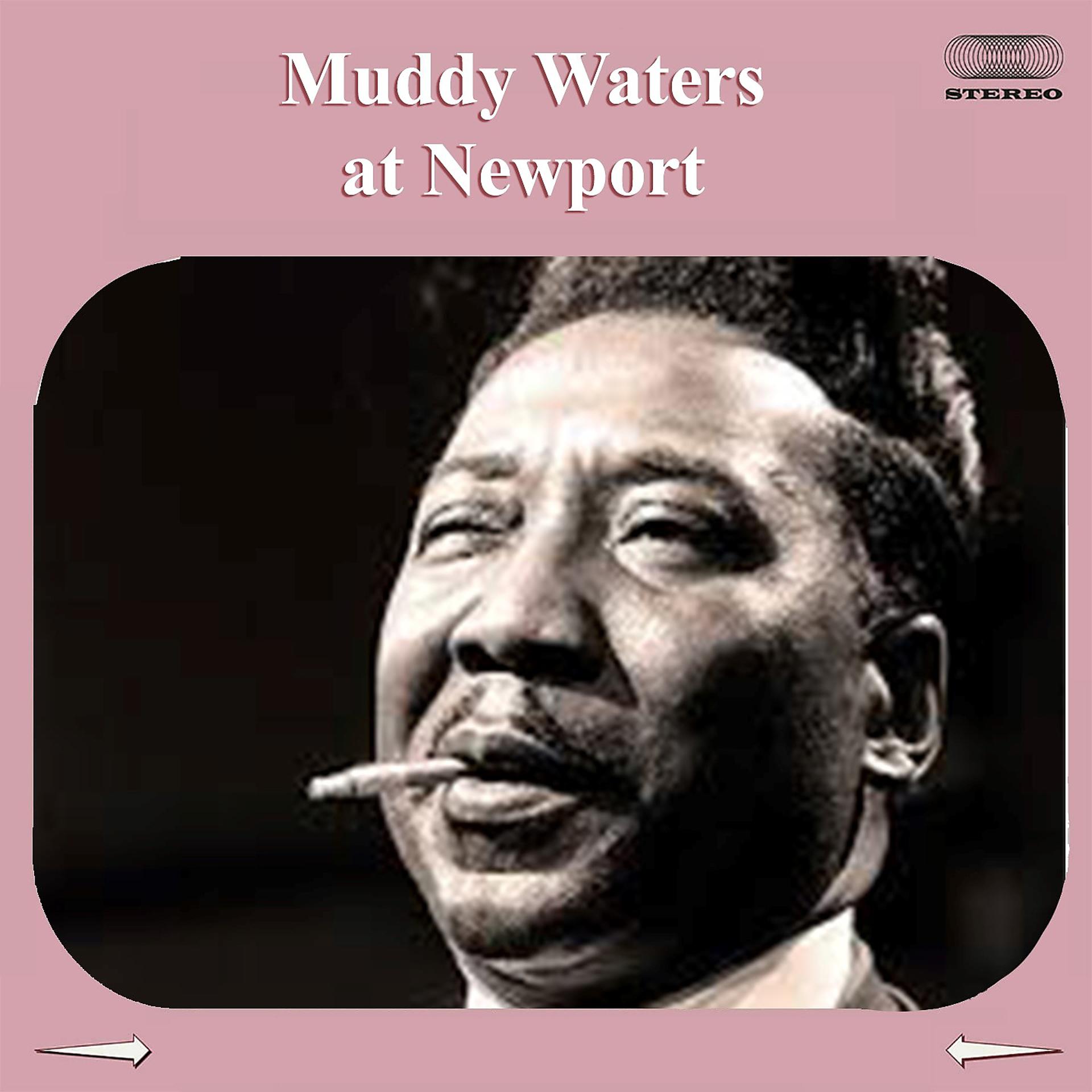 Постер альбома Muddy Waters At Newport