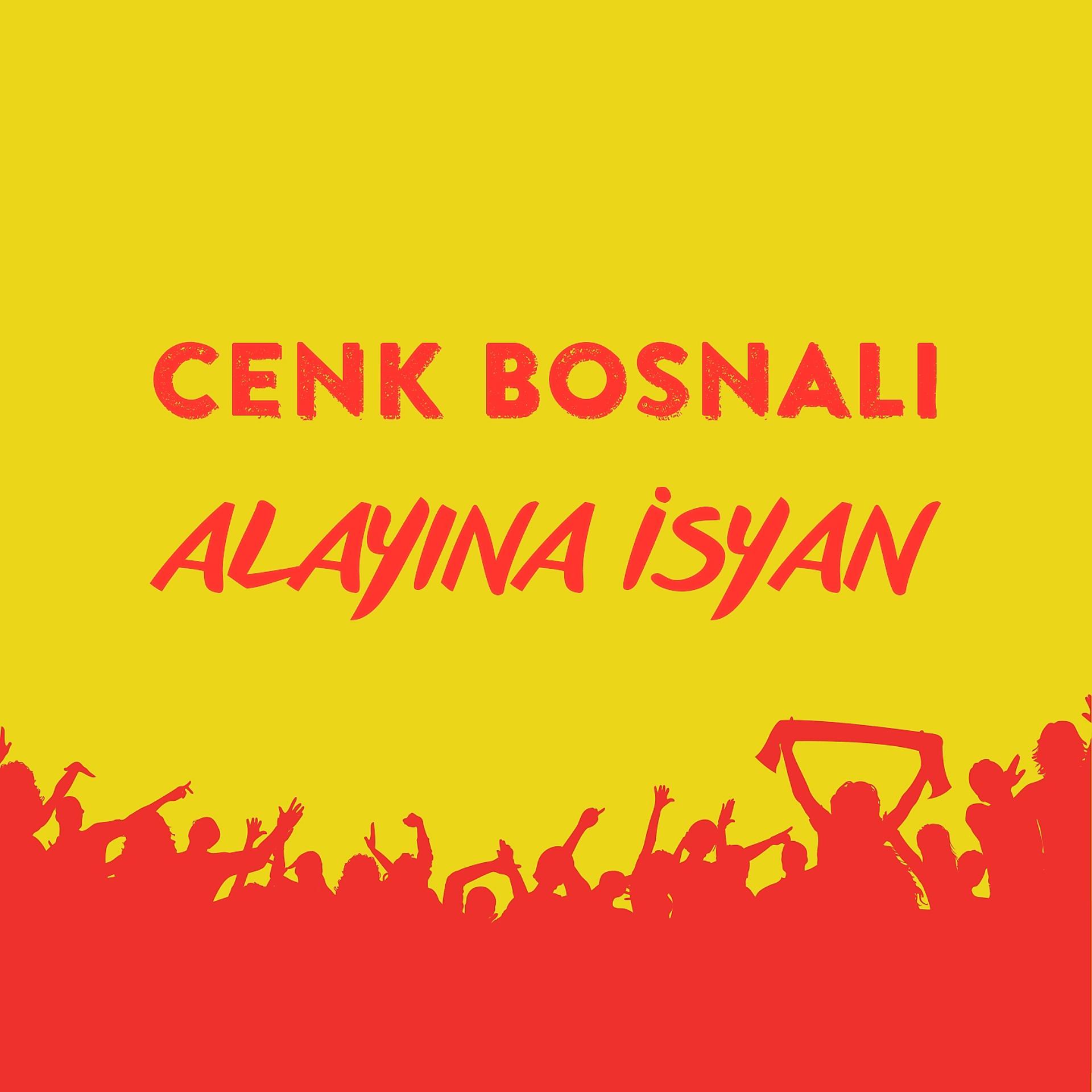 Постер альбома Alayına İsyan