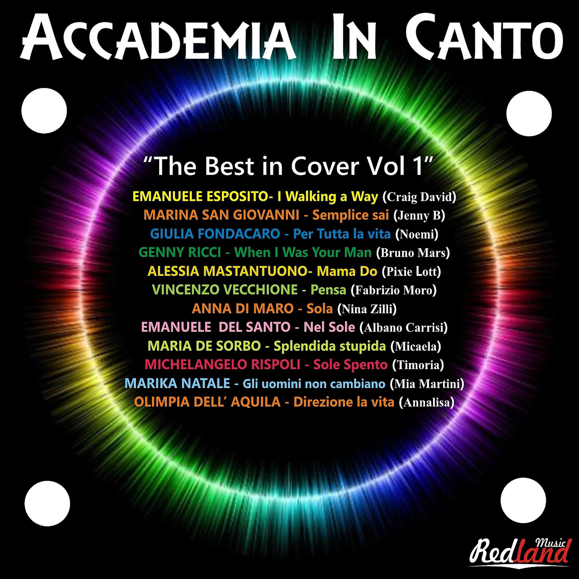 Постер альбома Accademia in canto - The Best In Cover, Vol. 1