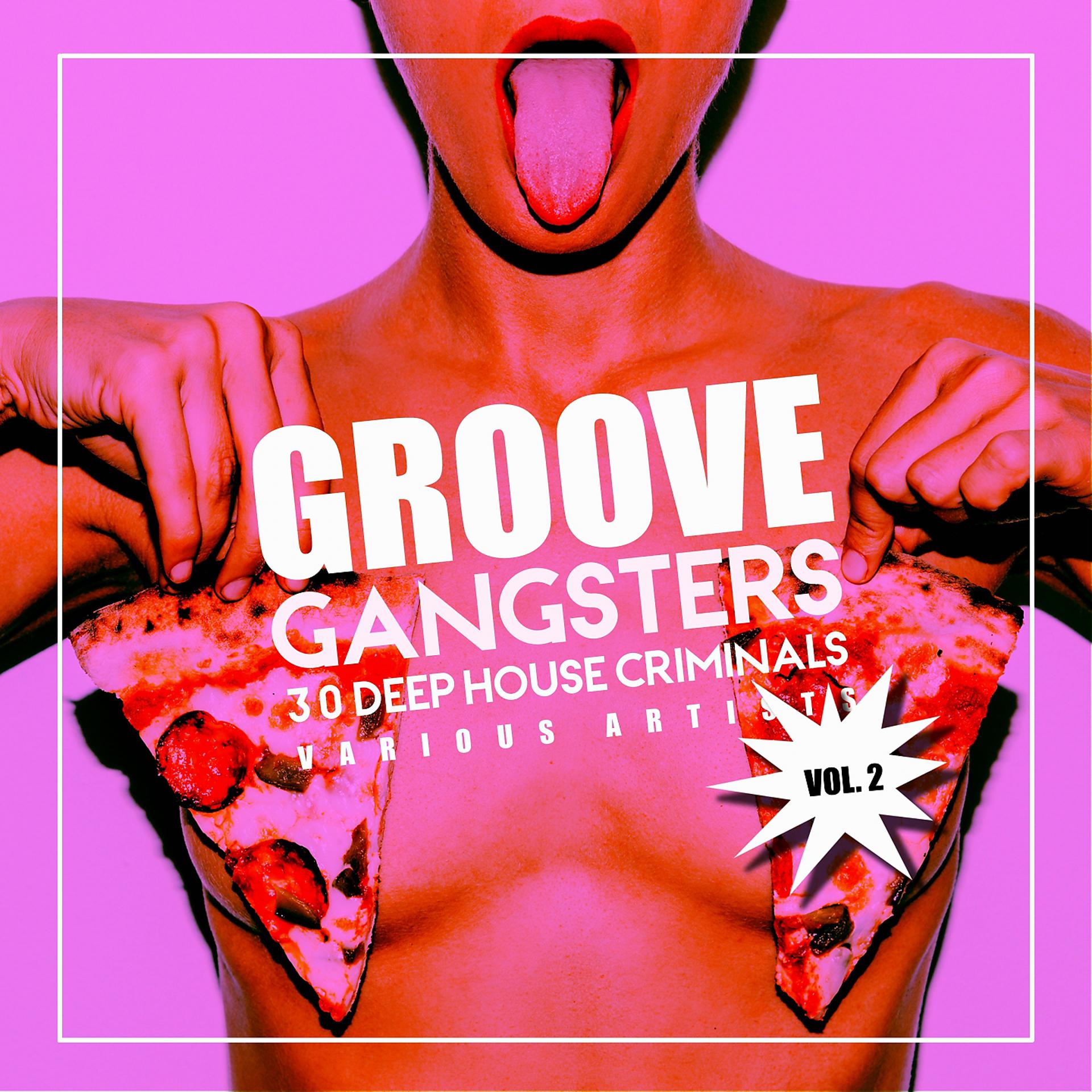 Постер альбома Groove Gangsters, Vol. 2 (30 Deep-House Criminals)