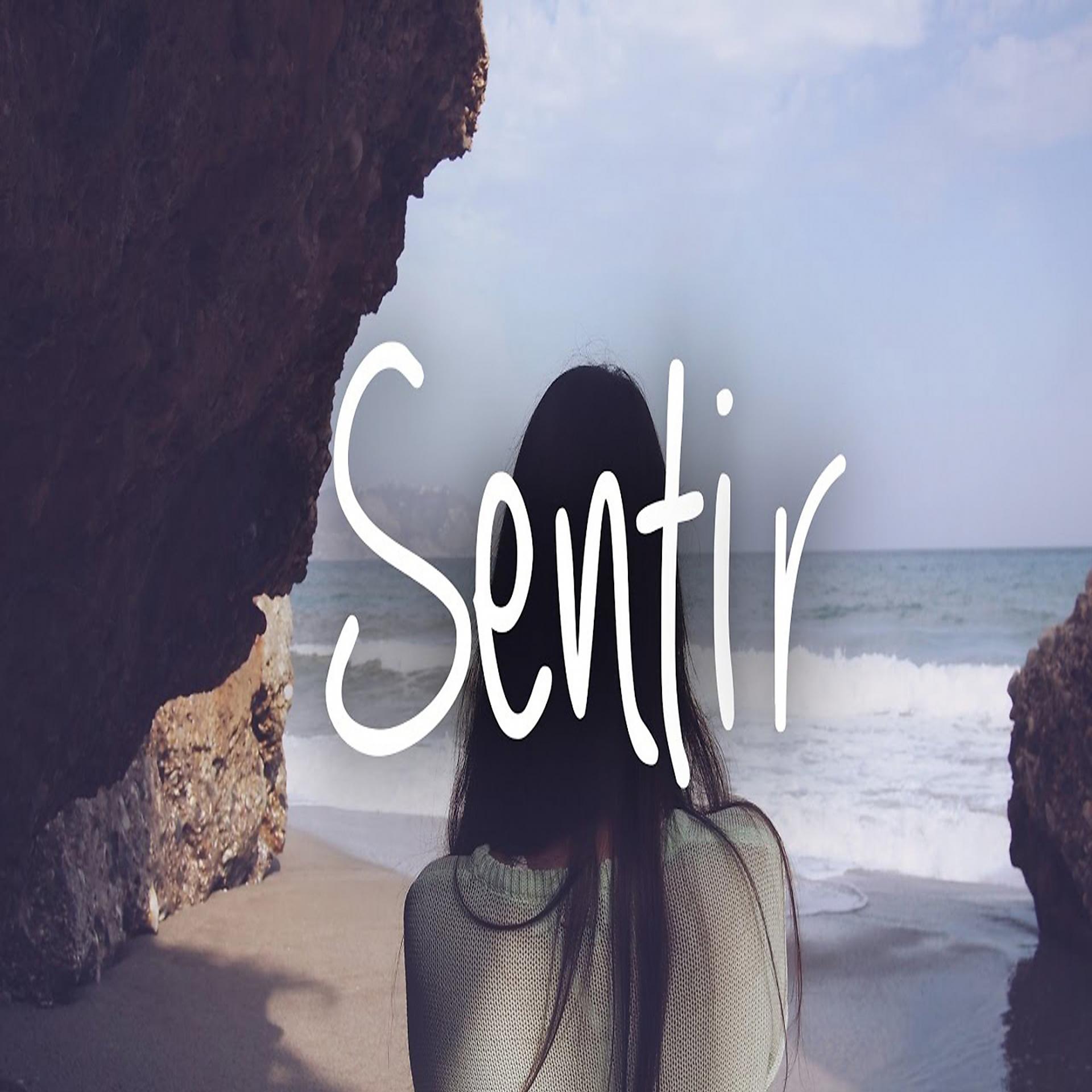 Постер альбома Sentir