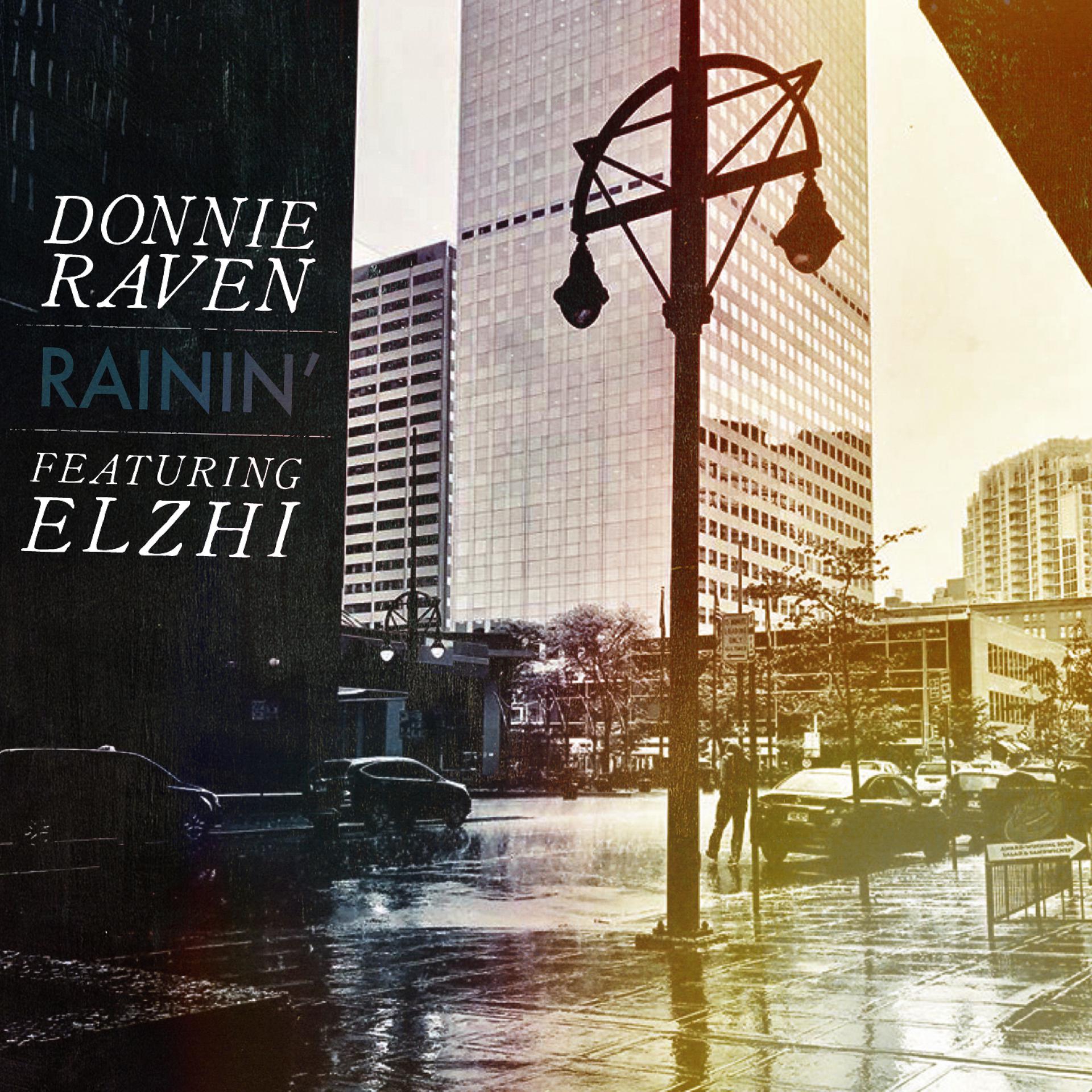 Постер альбома Rainin' (feat. Elzhi)