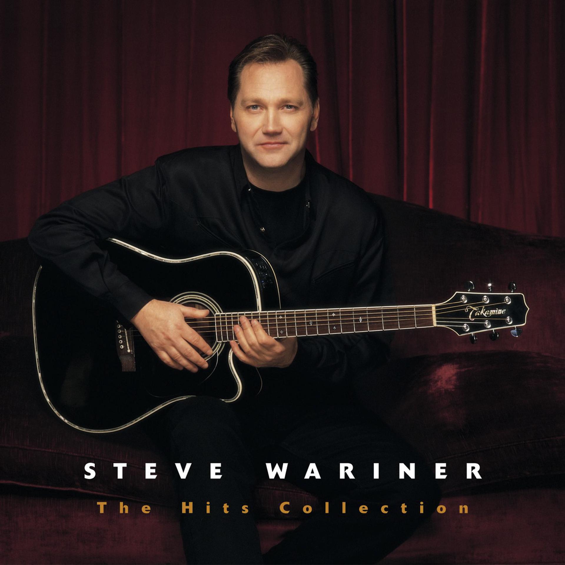 Постер альбома The Hits Collection: Steve Wariner