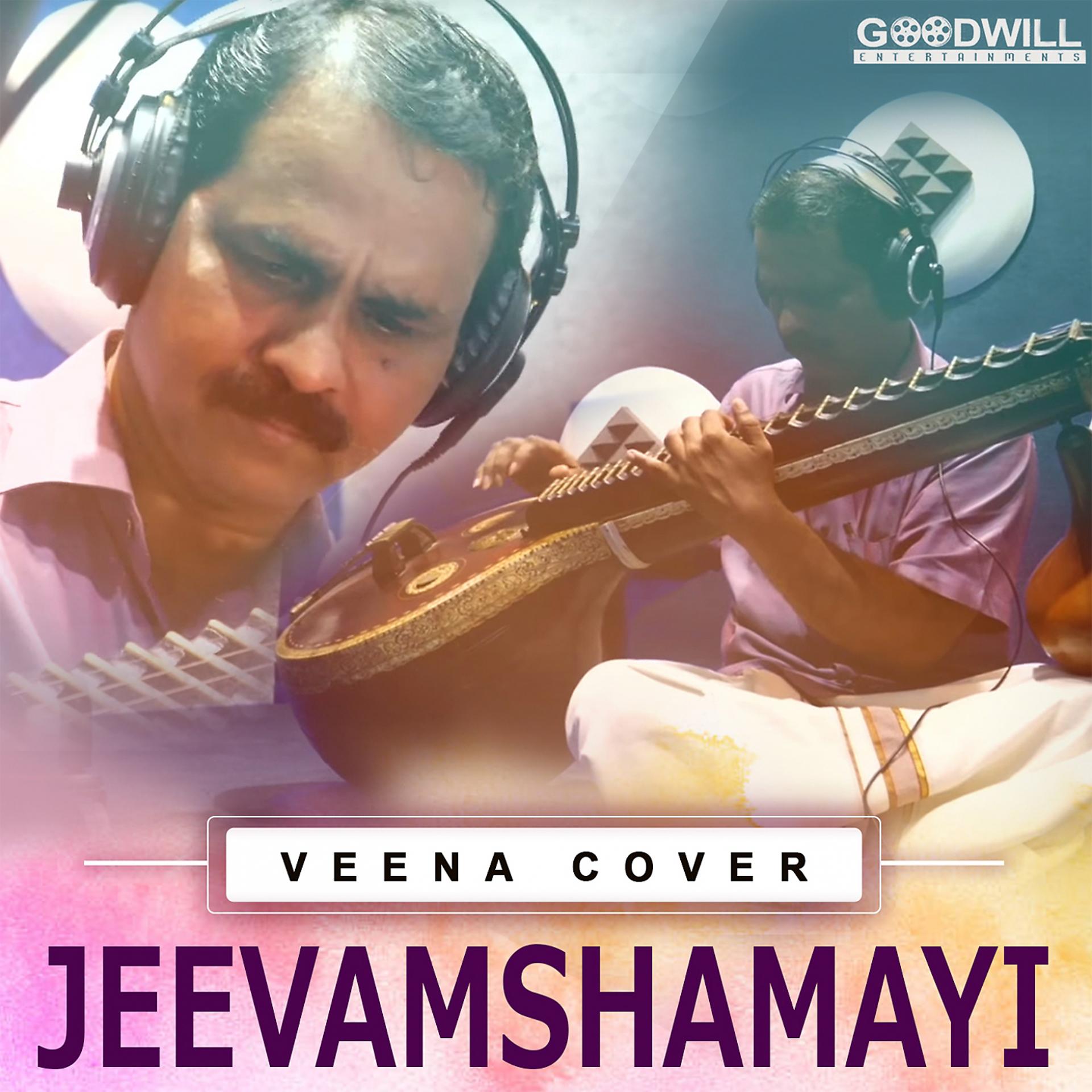 Постер альбома Jeevamshamayi (Veena Cover)