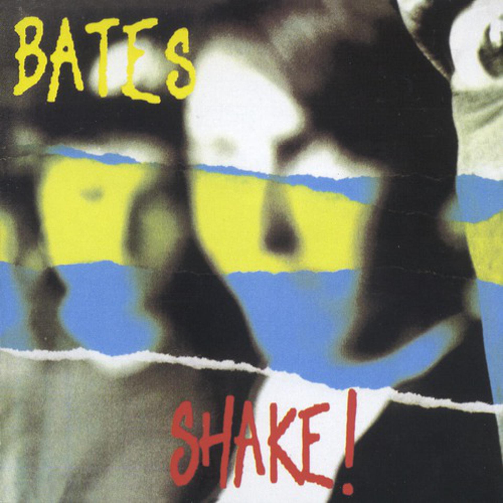 Постер альбома Shake!