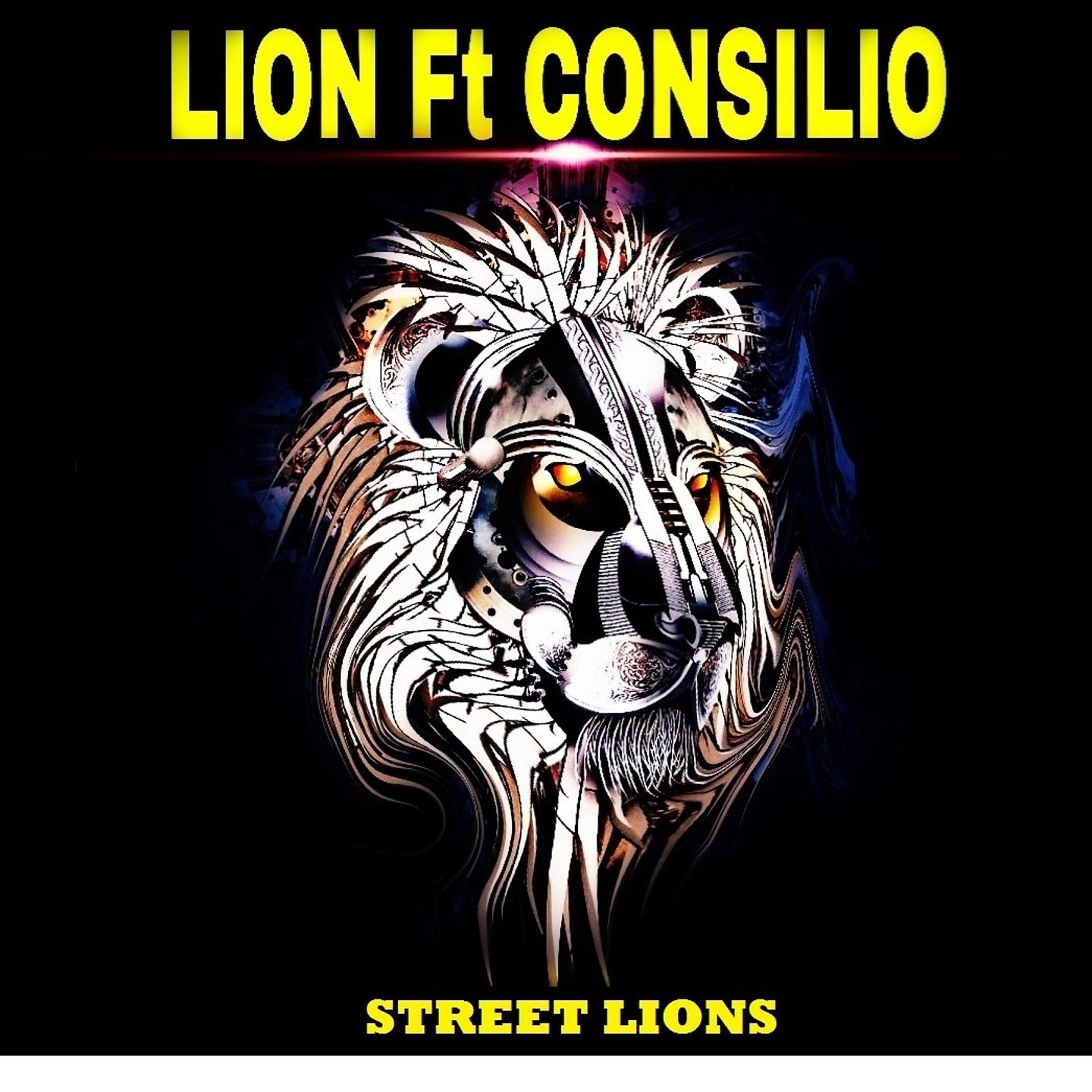 Постер альбома Street Lions