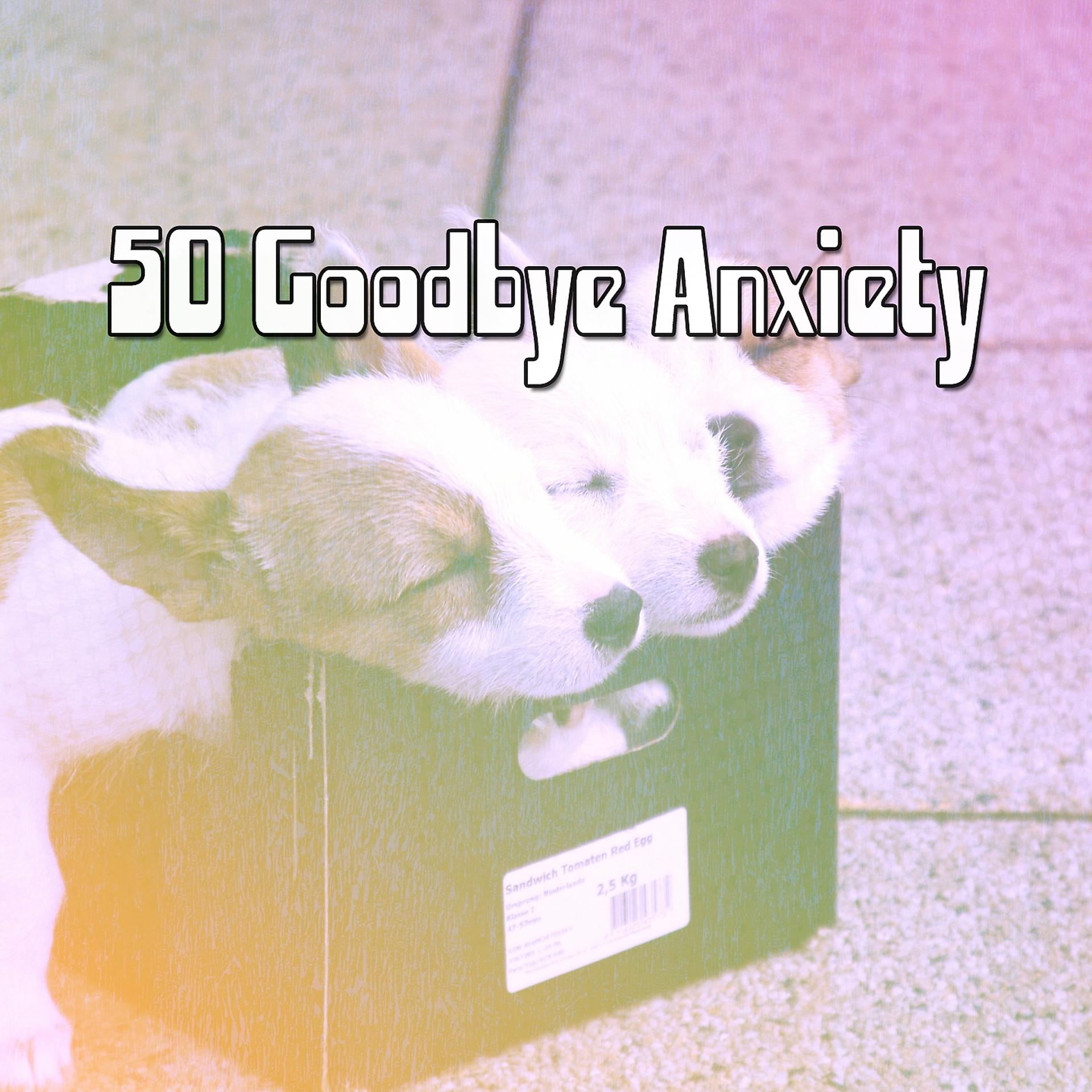 Постер альбома 50 Goodbye Anxiety