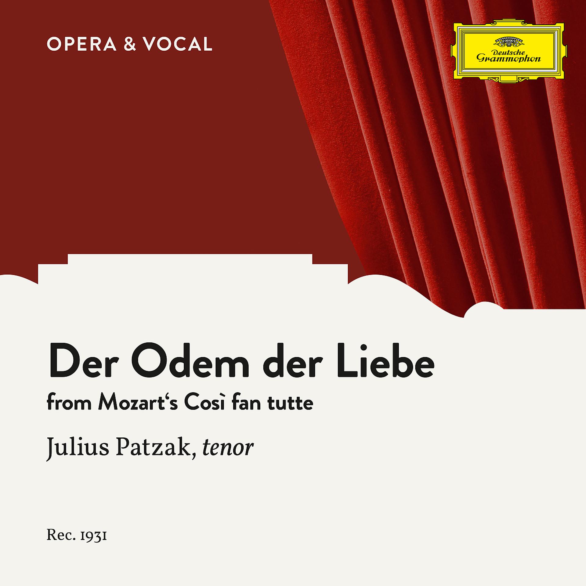 Постер альбома Mozart: Così fan tutte: Der Odem der Liebe