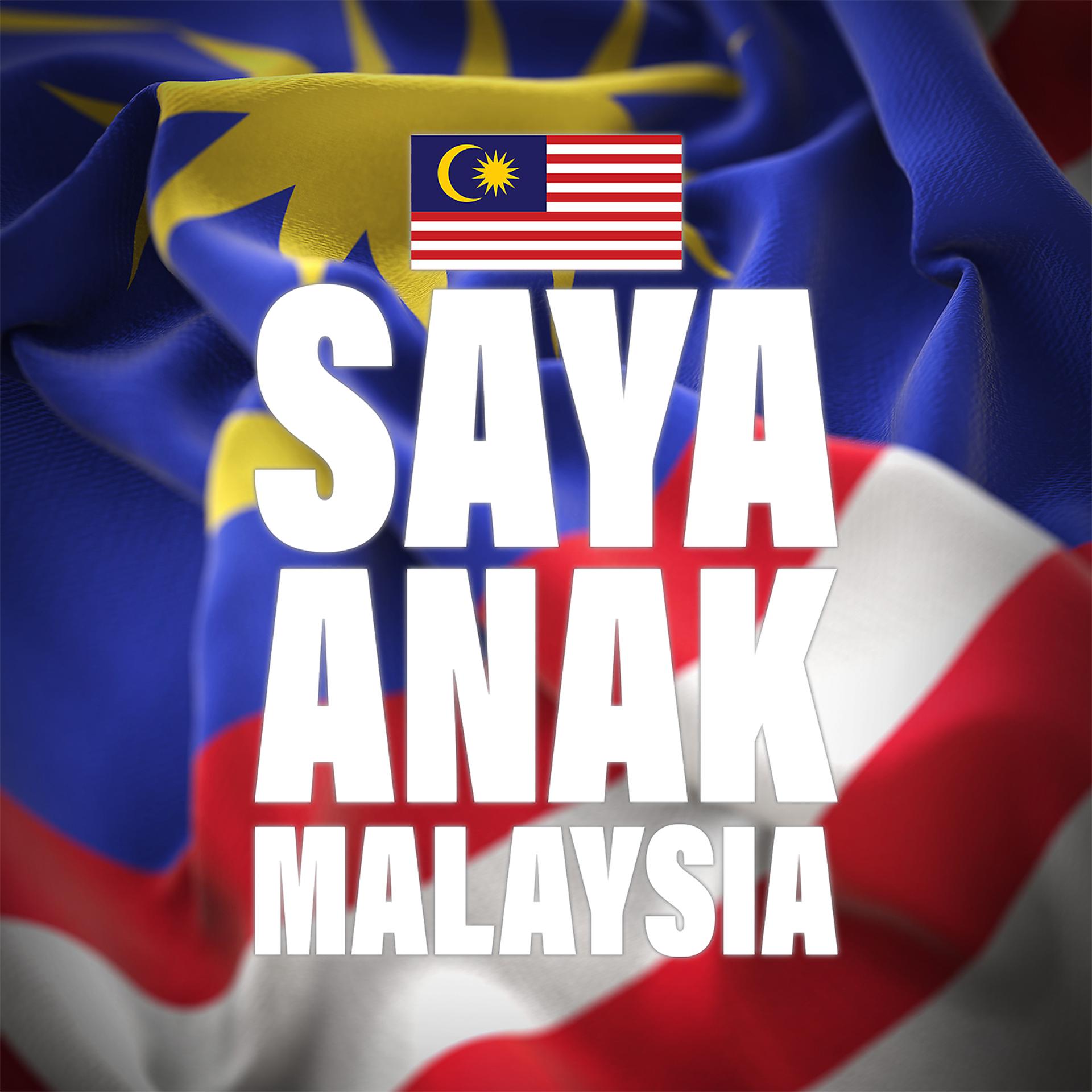 Постер альбома Saya Anak Malaysia (Mandarin Version)