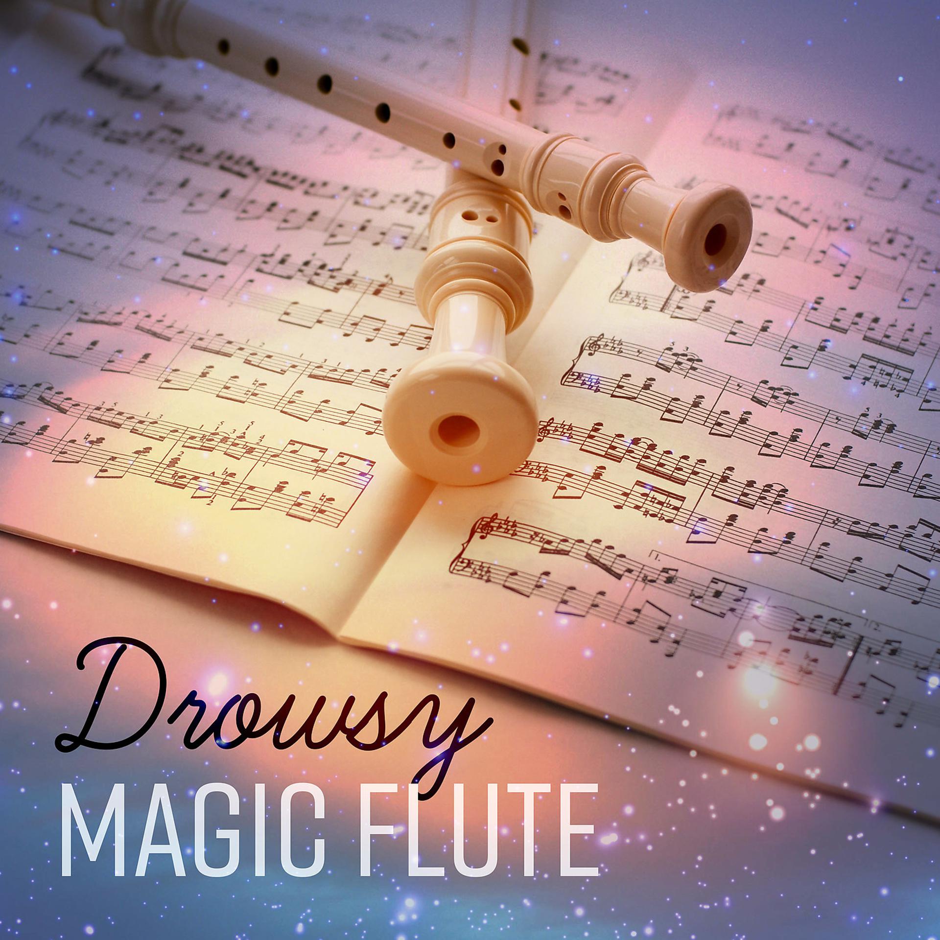 Постер альбома Drowsy Magic Flute - Relaxing Flute Lullabies, Soothing Atmospheres, Complete Serenity, Blissful Dreams