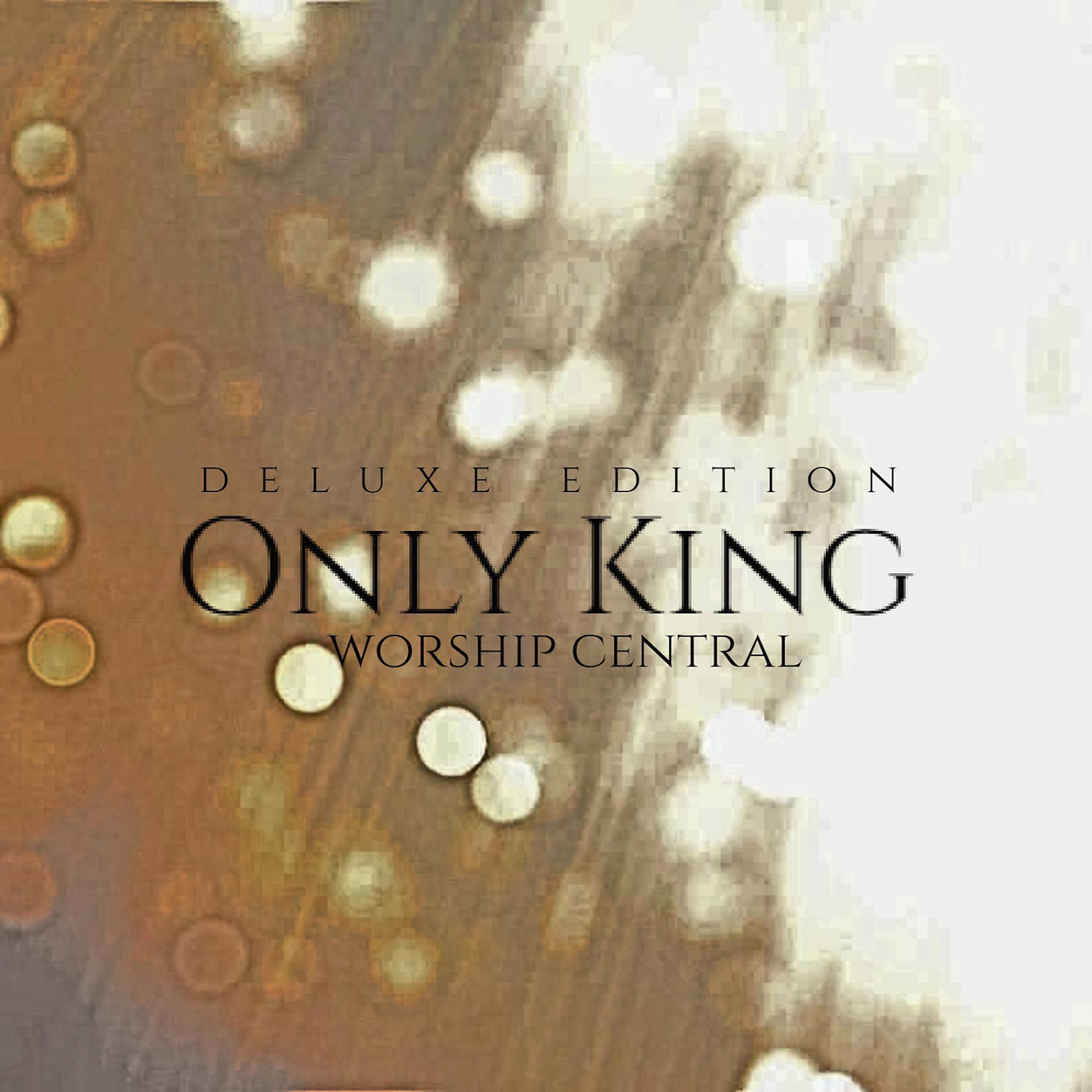 Постер альбома Only King