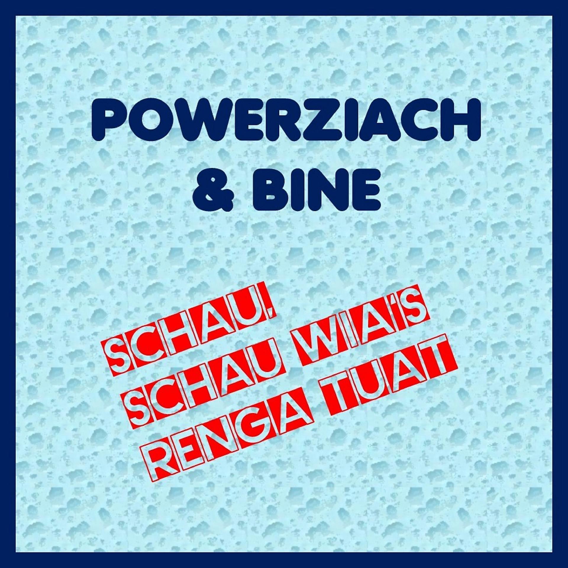 Постер альбома Schau, schau wia's renga tuat