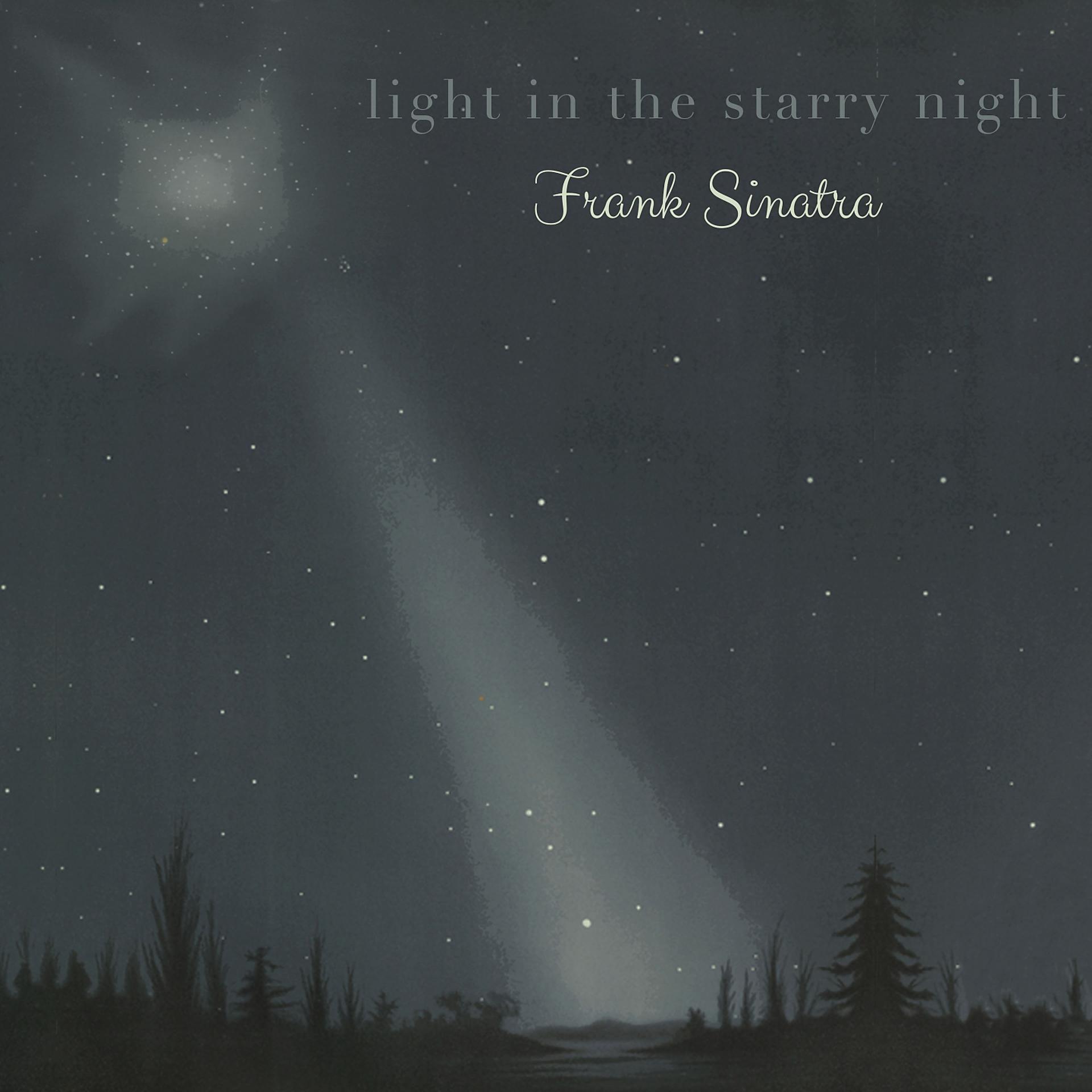 Постер альбома Light in the starry Night