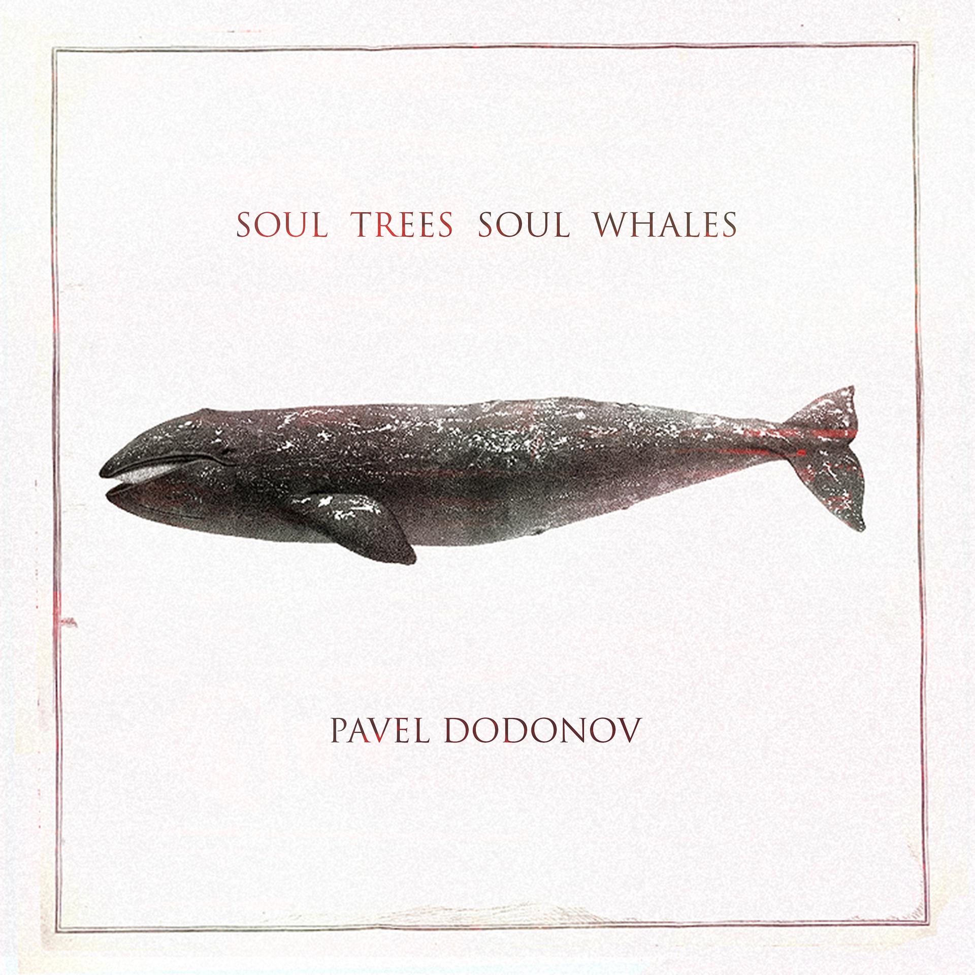 Постер альбома Soul Trees Soul Whales