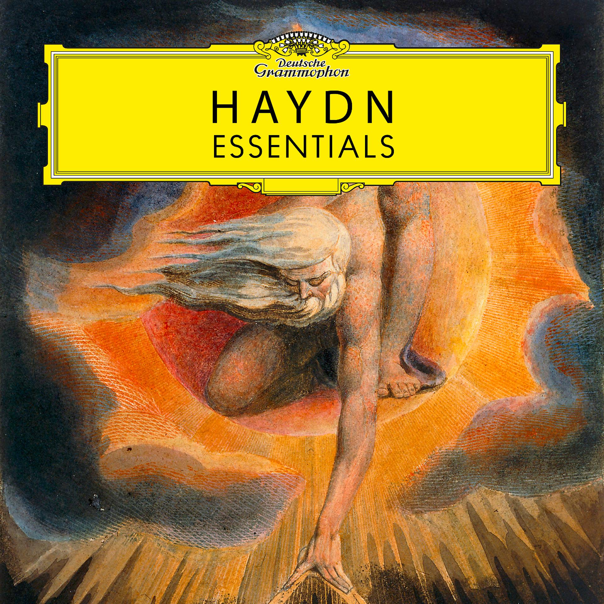 Постер альбома Haydn: Essentials
