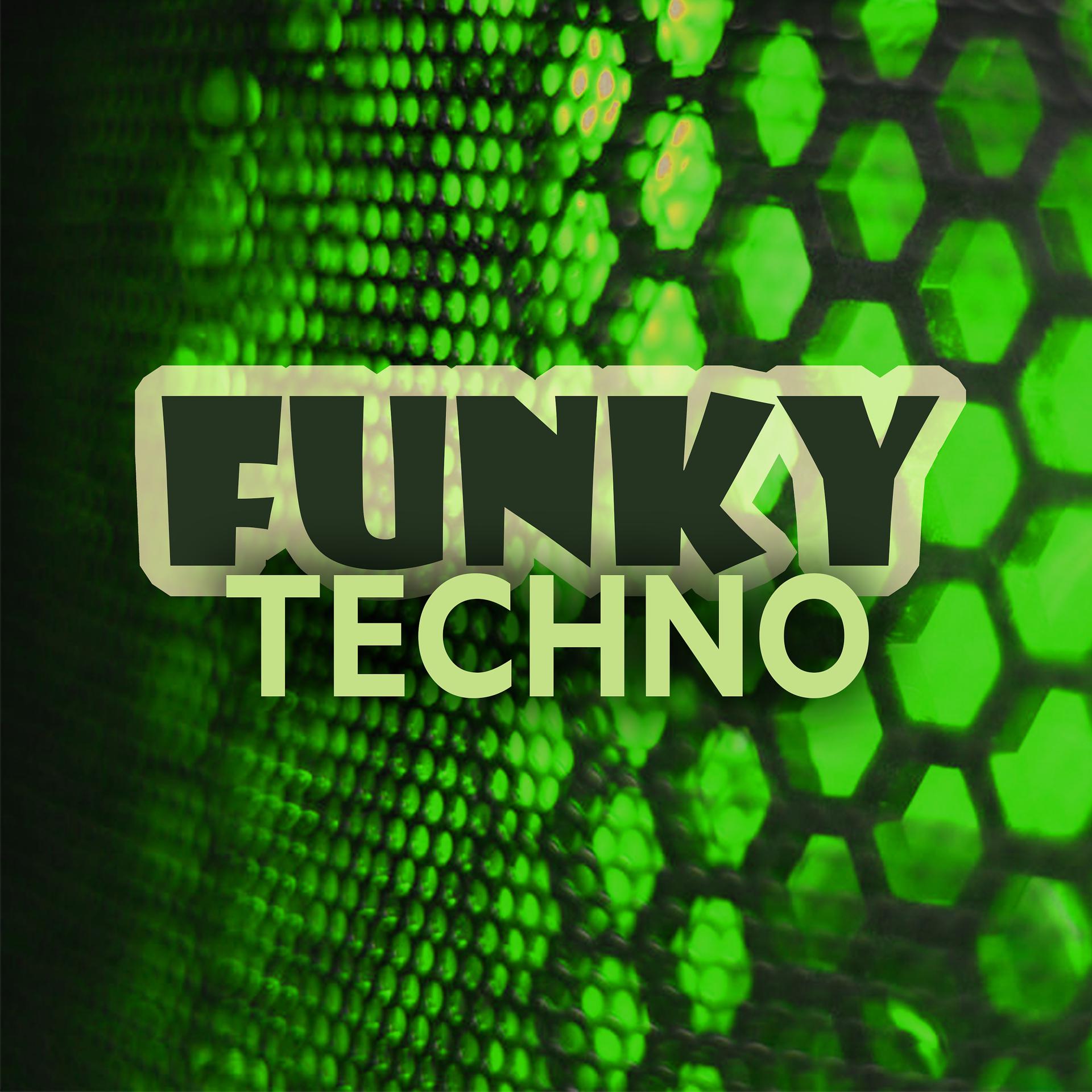 Постер альбома Funky Techno