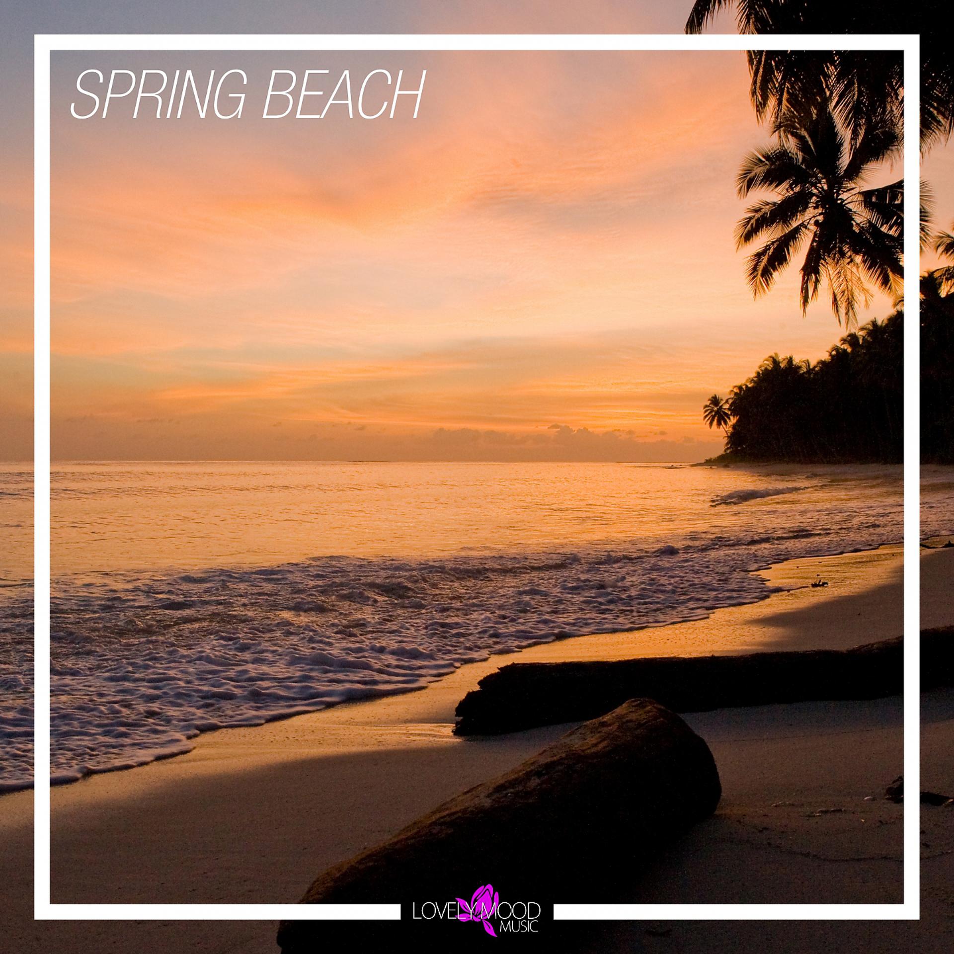 Постер альбома Spring Beach