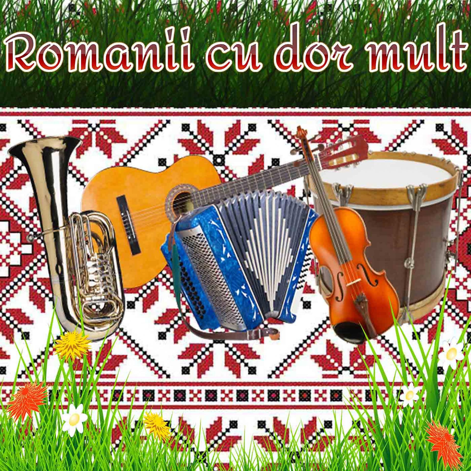 Постер альбома Romanii Cu Dor Mult